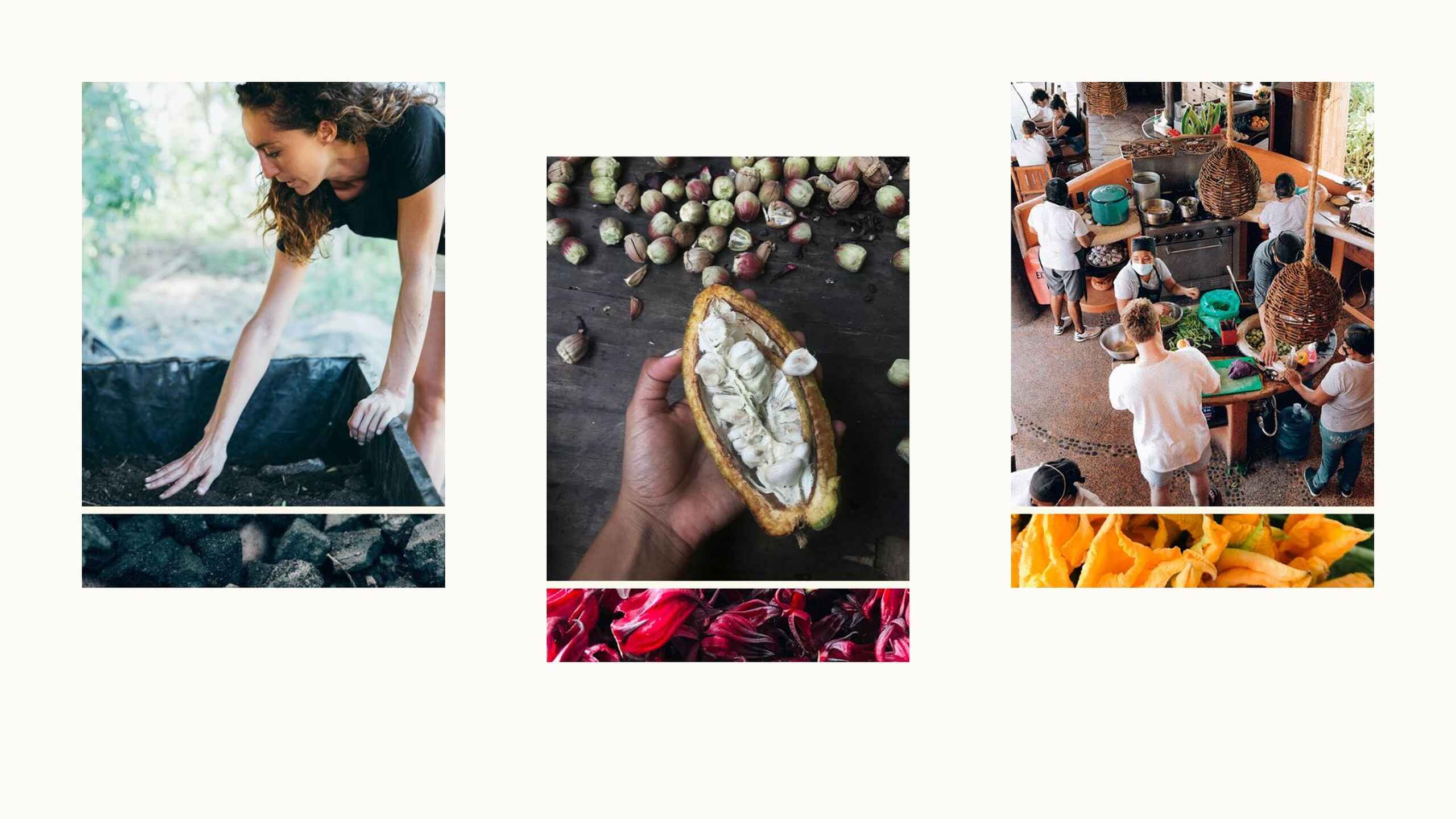 A collage showing agricultural work including soil preparation, cacao pod opening, community cooking, and fresh produce