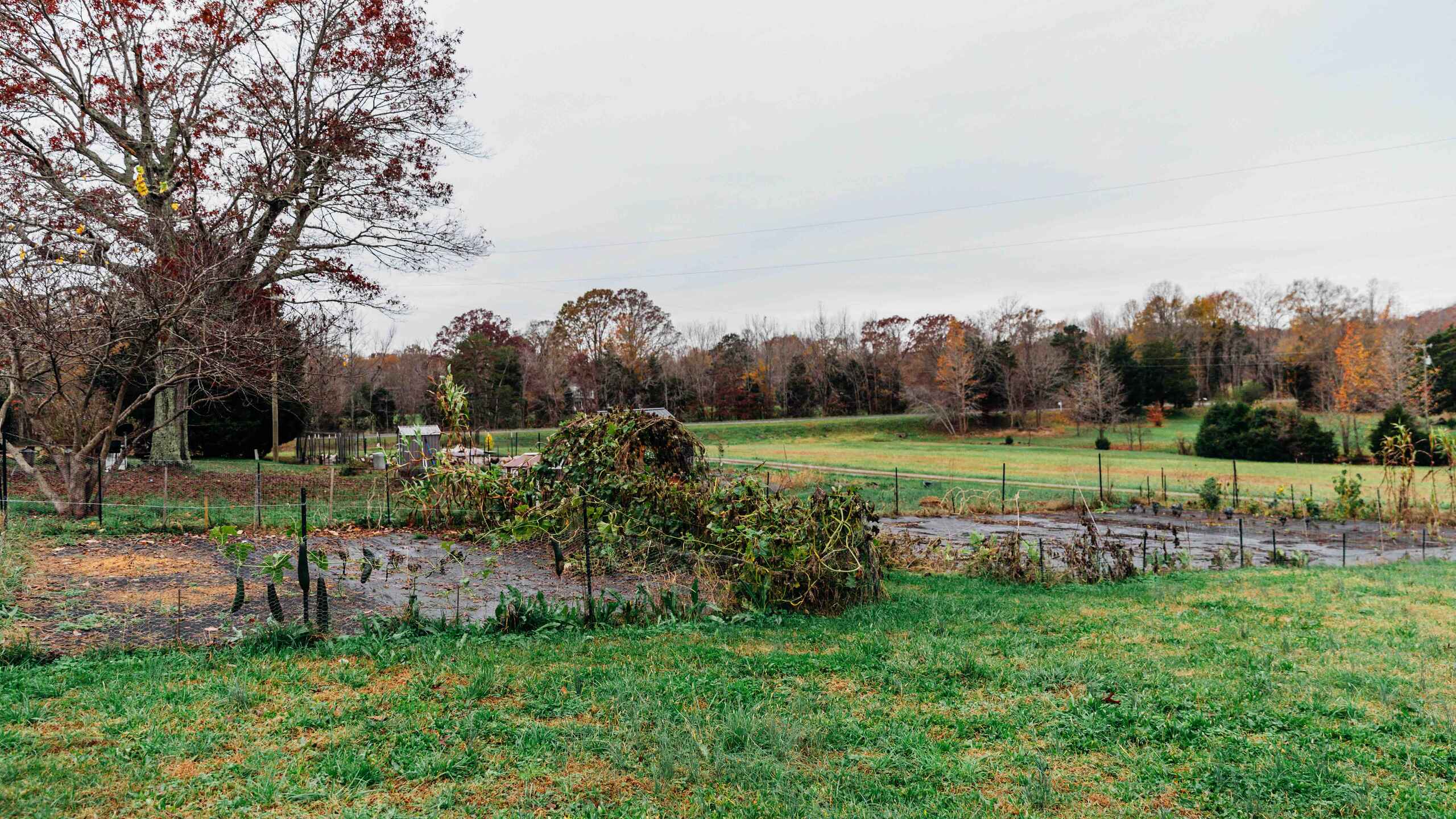 A farm vegetable garden with raised beds and fencing sits in the foreground, with open pasture and autumn trees stretching across the background