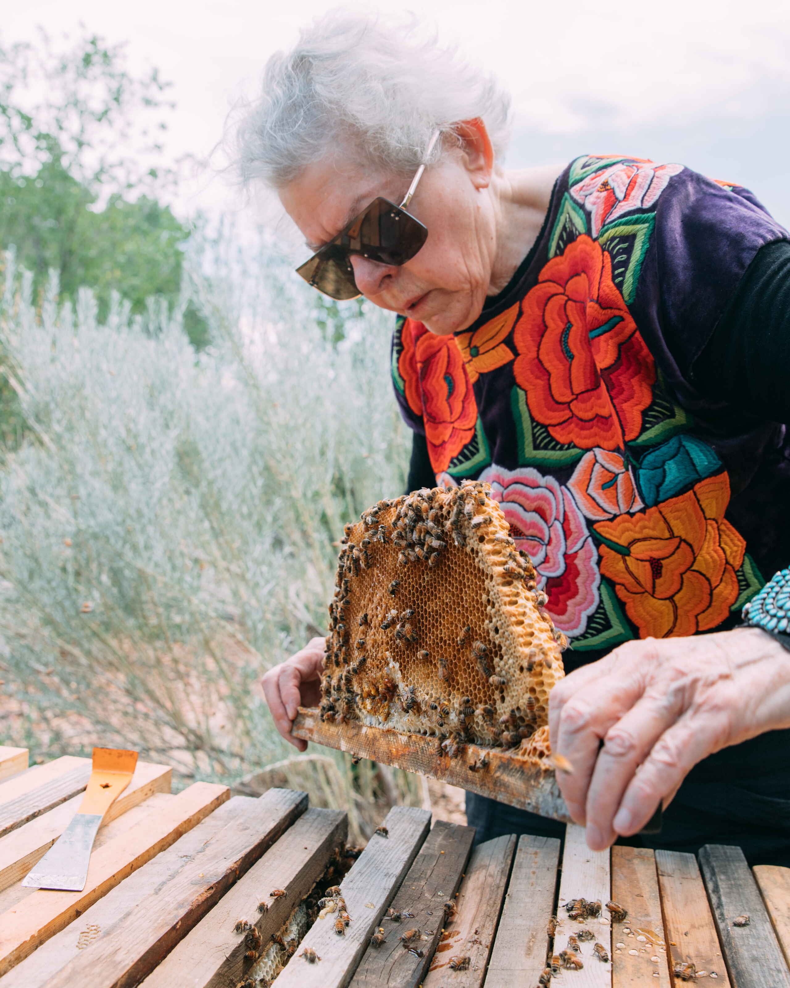 Beekeeper holding a honeycomb frame covered with bees