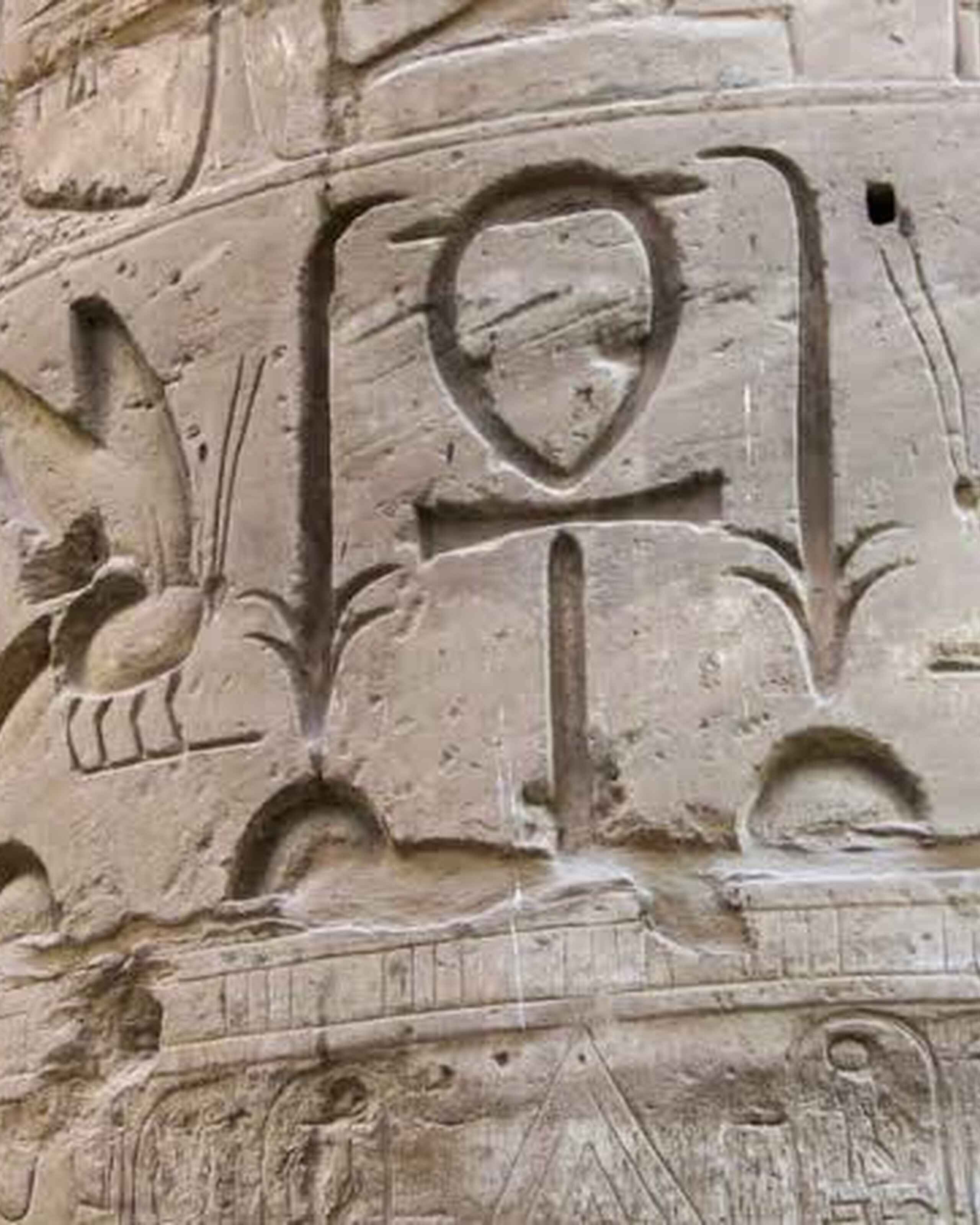 Ancient Egyptian temple wall carving depicting hieroglyphics and cartouches with birds and symbolic figures