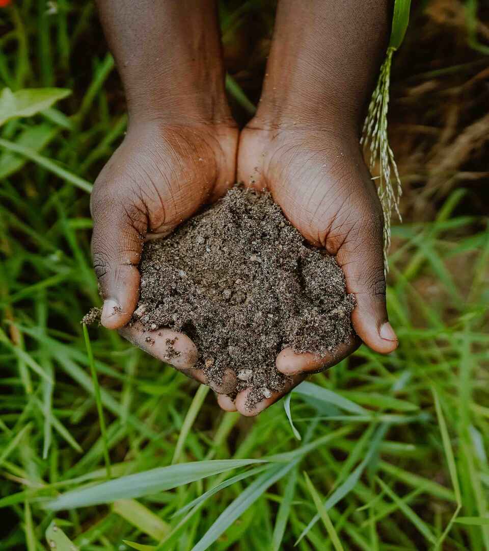 Farmer's hands holding rich, dark soil over cultivated farmland
