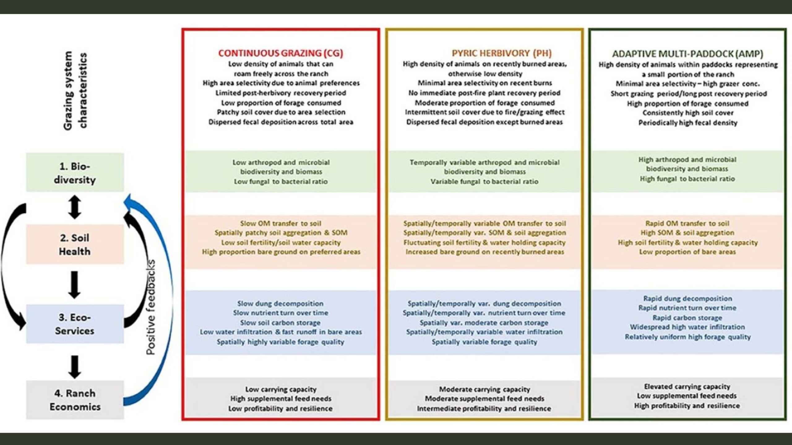 Comparison chart of three grazing management systems&mdash;Continuous Grazing, Pyric Herbivory, and Adaptive Multi-Paddock&mdash;showing their effects on biodiversity, soil health, ecosystem services, and ranch economics.