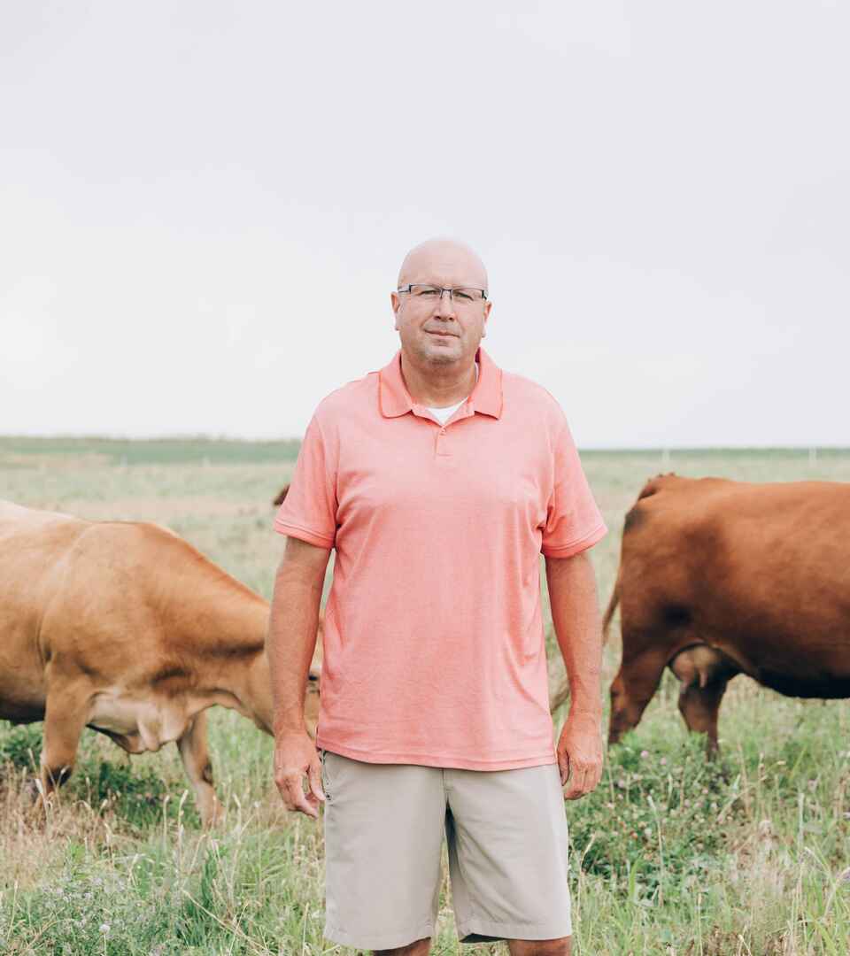 Del Ficke stands in a pasture with two brown cattle grazing on either side