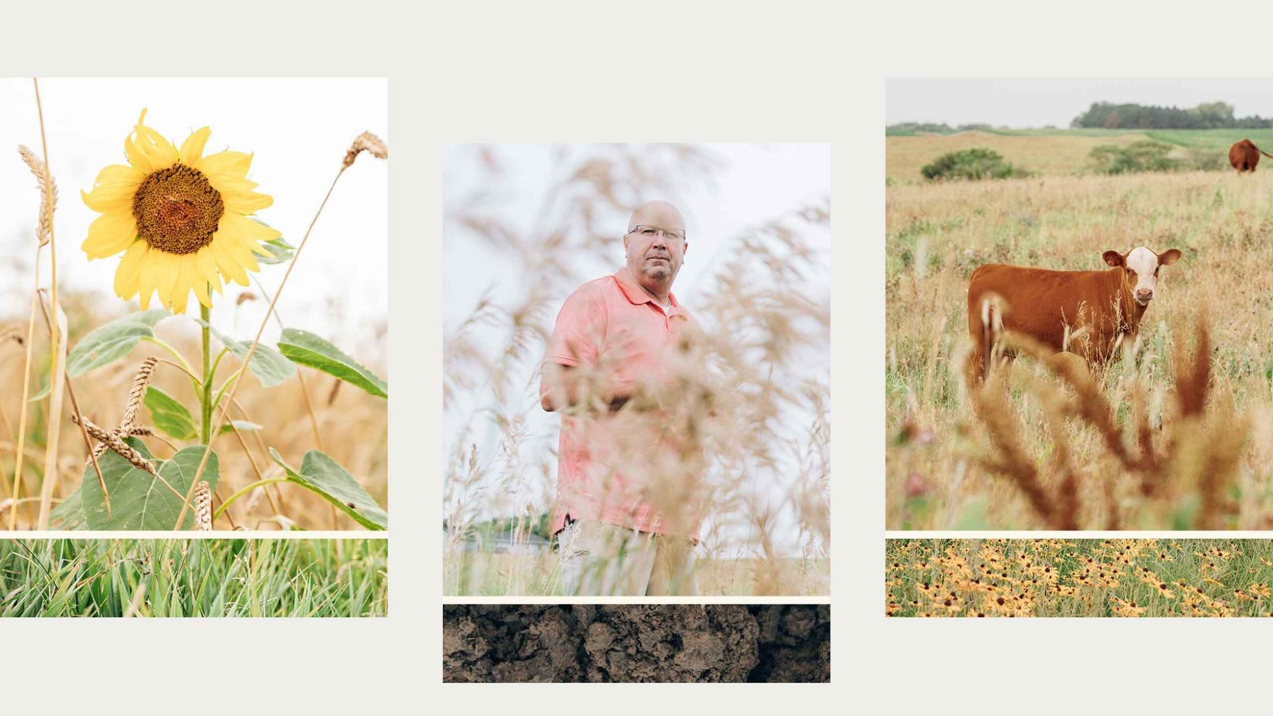 Del Ficke stands in a grain field while managing regenerative agriculture practices