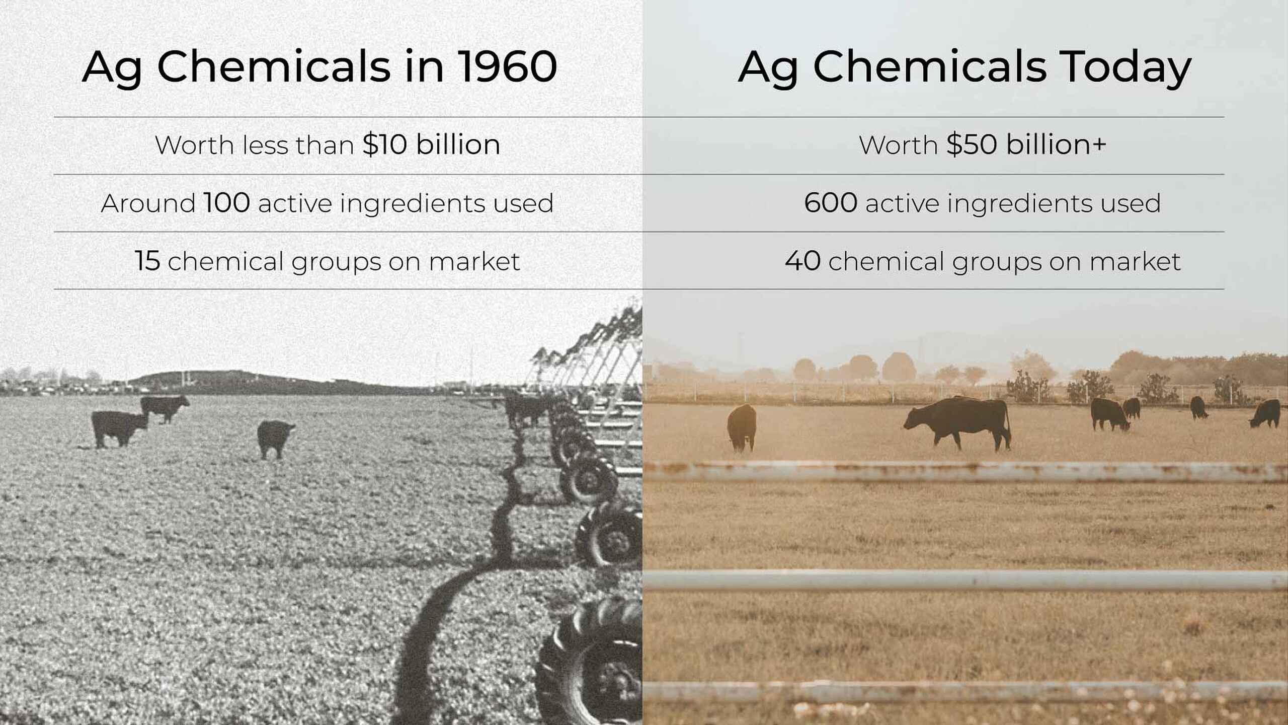 Comparison of agricultural chemical use showing growth from 100 active ingredients and 15 chemical groups in 1960 to 600 active ingredients and 40 chemical groups today, with market value increasing from under $10 billion to $50 billion plus