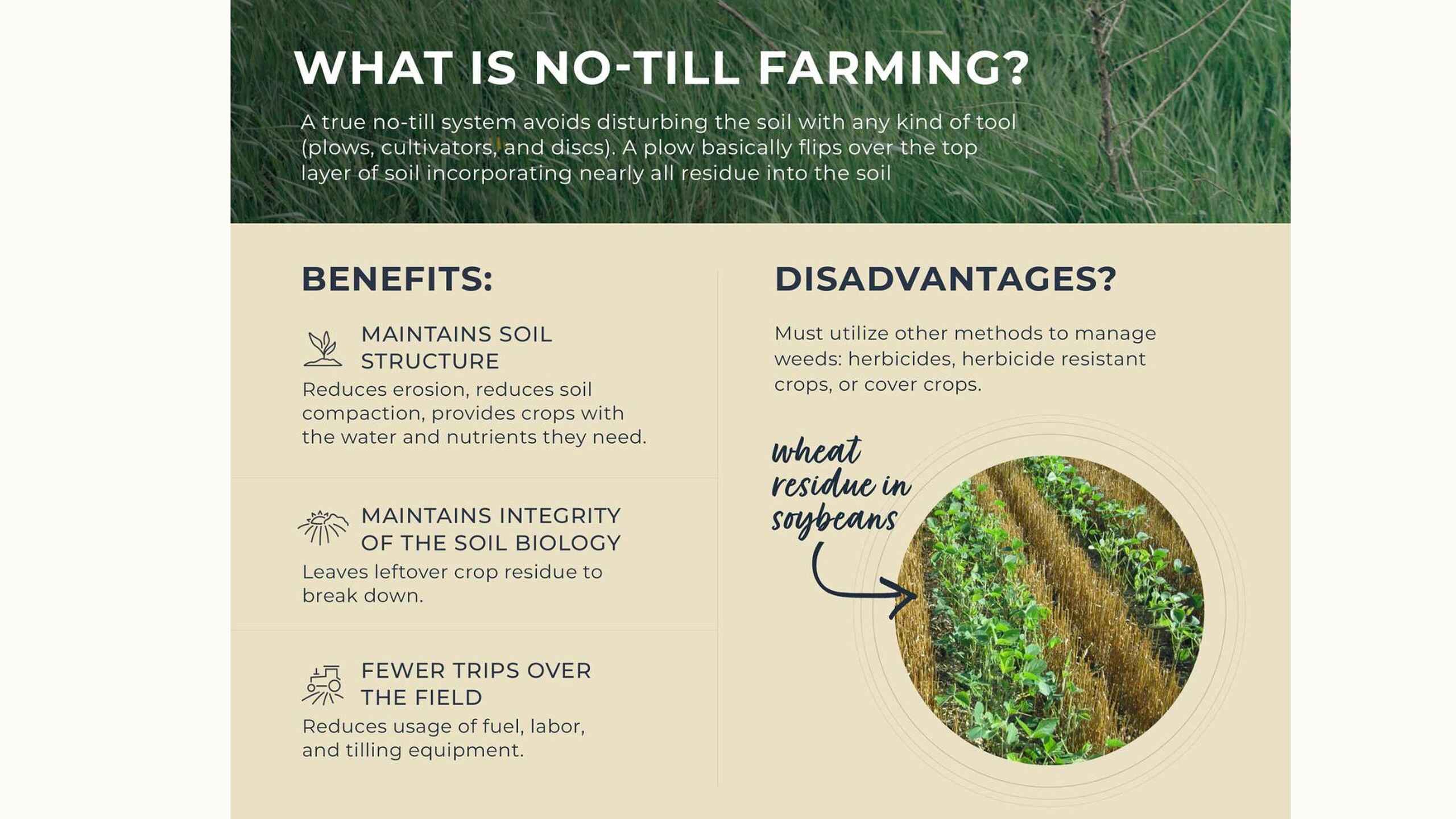 Infographic explaining no-till farming benefits including soil structure maintenance, soil biology integrity, and reduced field trips, compared to disadvantages like weed management challenges shown in a photo of wheat residue in soybeans