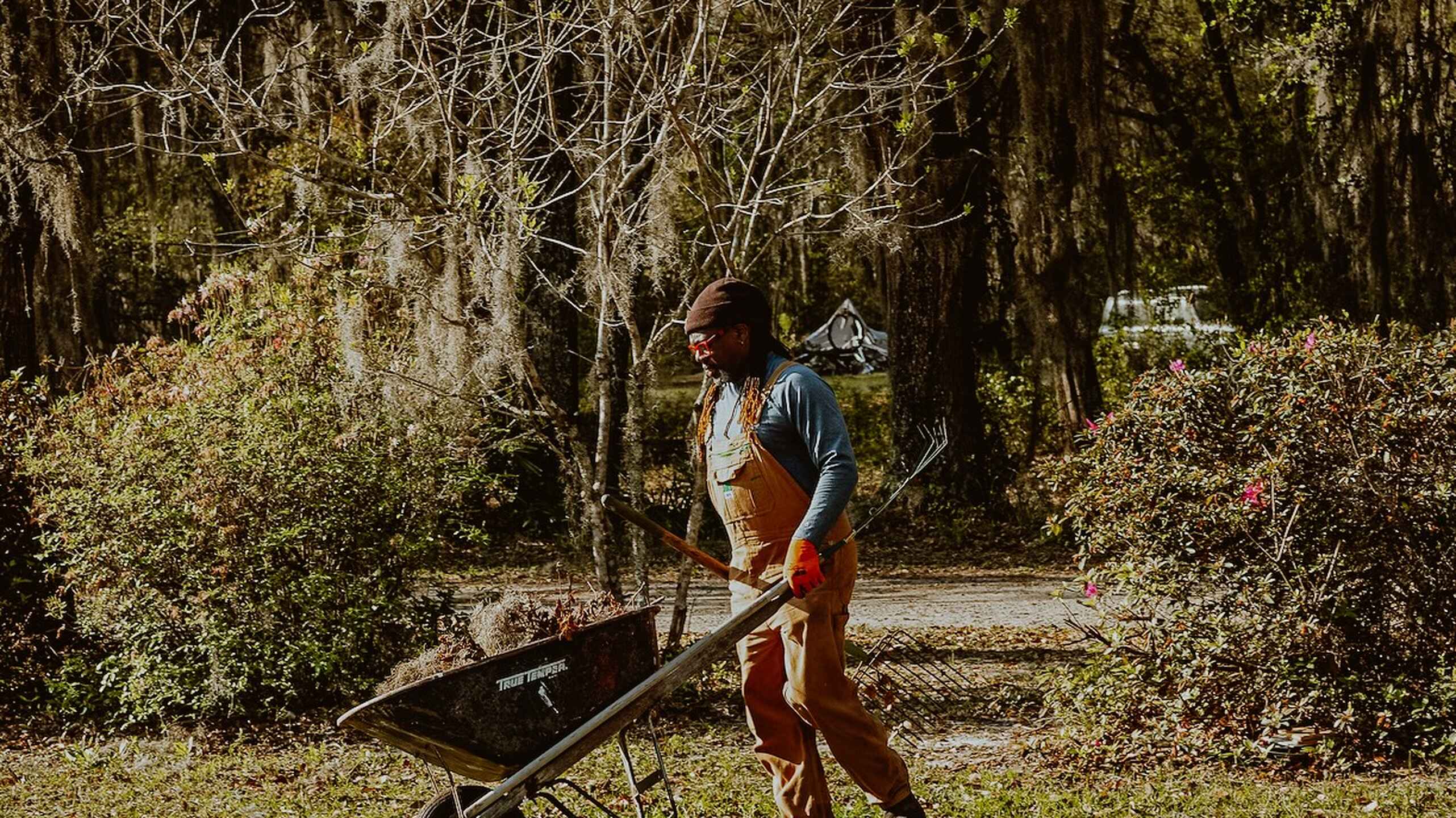 Man pushing a wheelbarrow through a tree-lined garden path