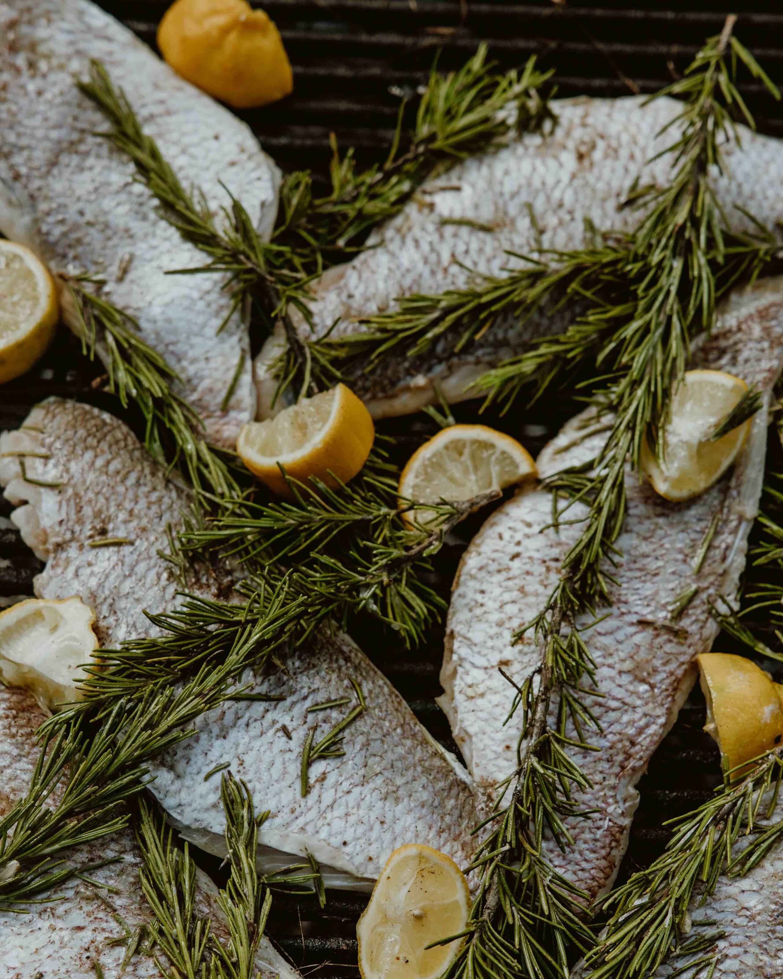 Grilled fish fillets topped with fresh rosemary and lemon slices on a dark grill grate