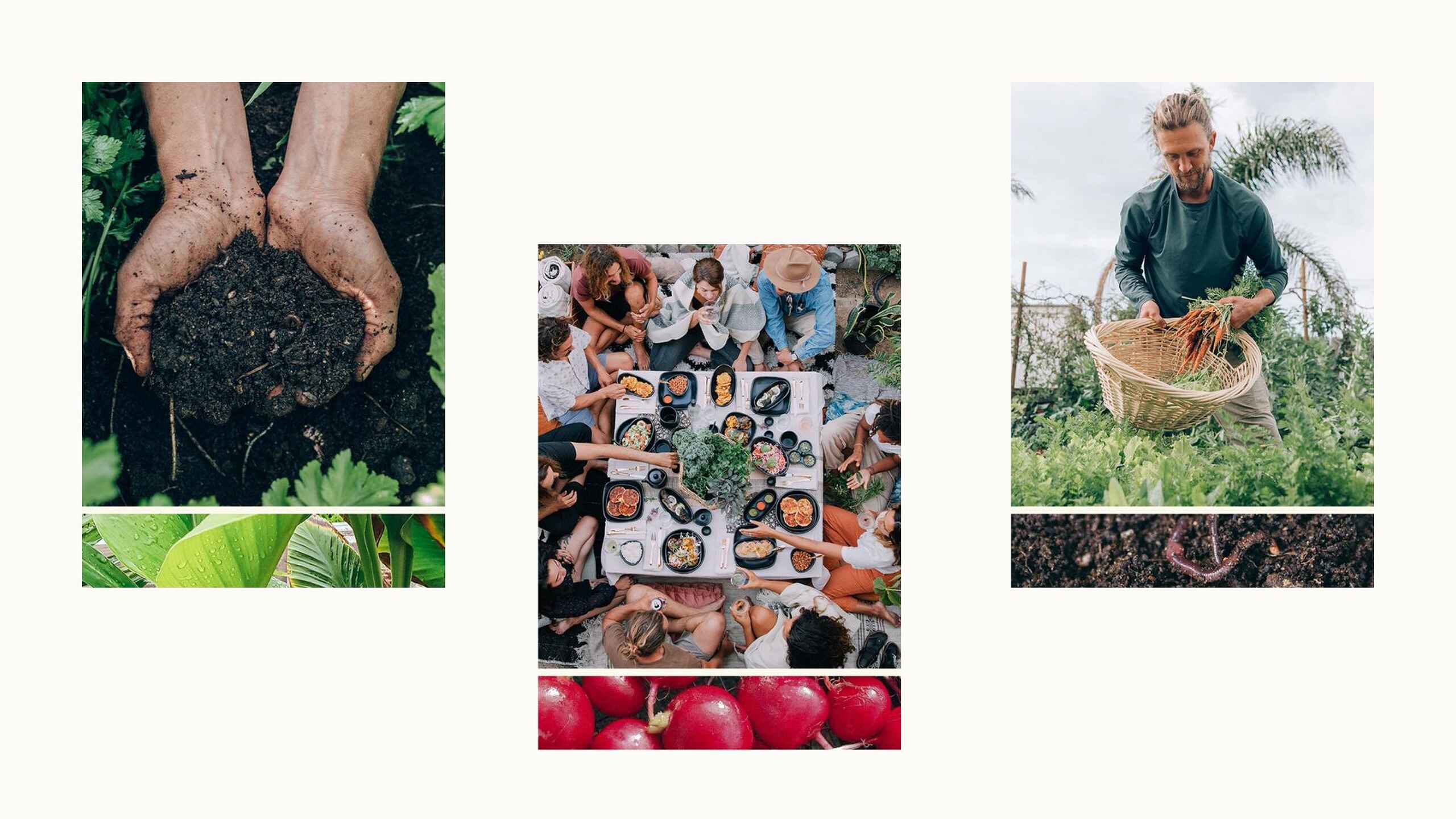 Collage showing soil health, community farming, harvest practices, and fresh produce