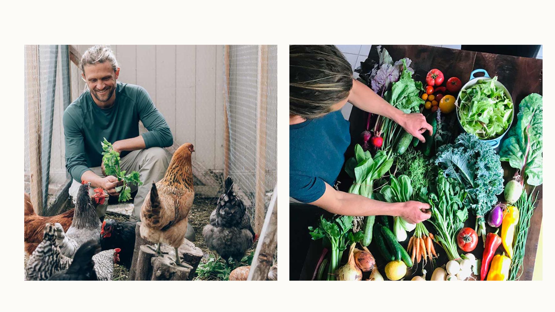 Man feeding lettuce to chickens in a coop and woman arranging fresh vegetables from harvest