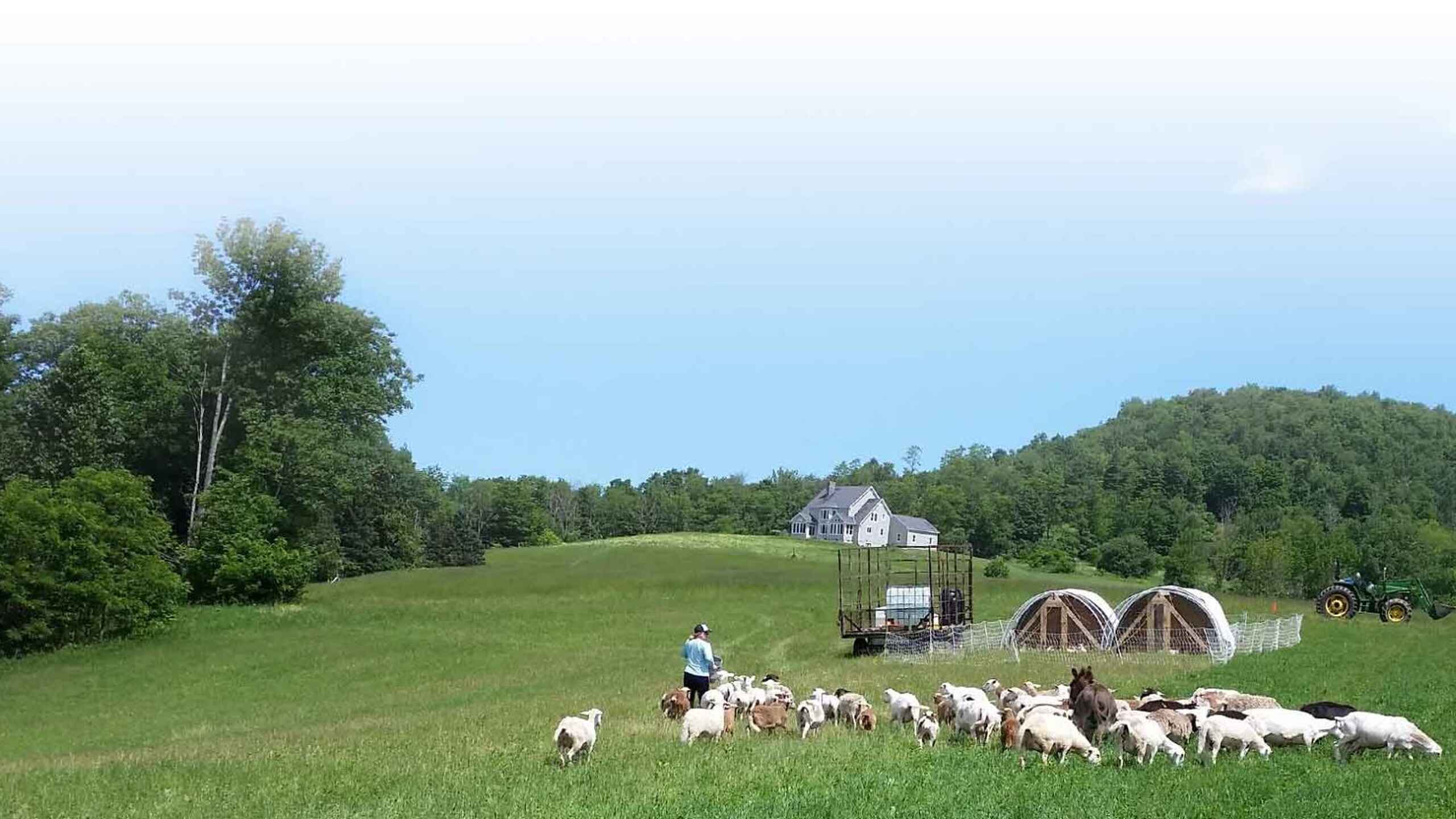 Pastoral farm landscape with grazing livestock, farm buildings, and forested hills under clear sky