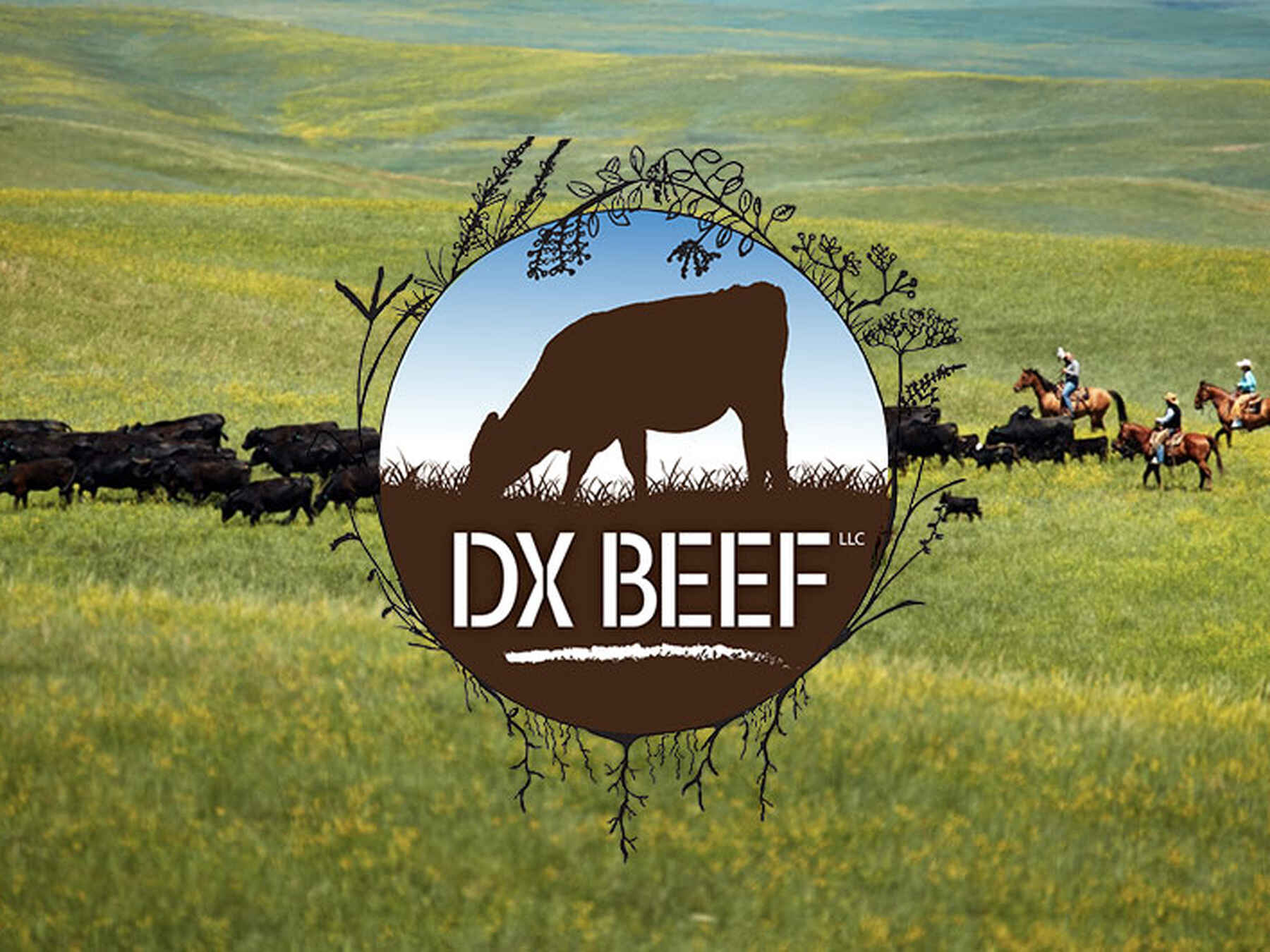 DX Beef logo with a grazing cow silhouette, set against a grassland landscape with cattle herds and cowboys on horseback