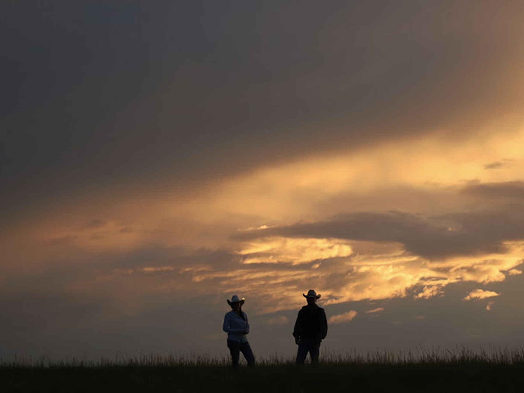Two farmers silhouetted against a dramatic golden sunset sky stand in a vast agricultural field