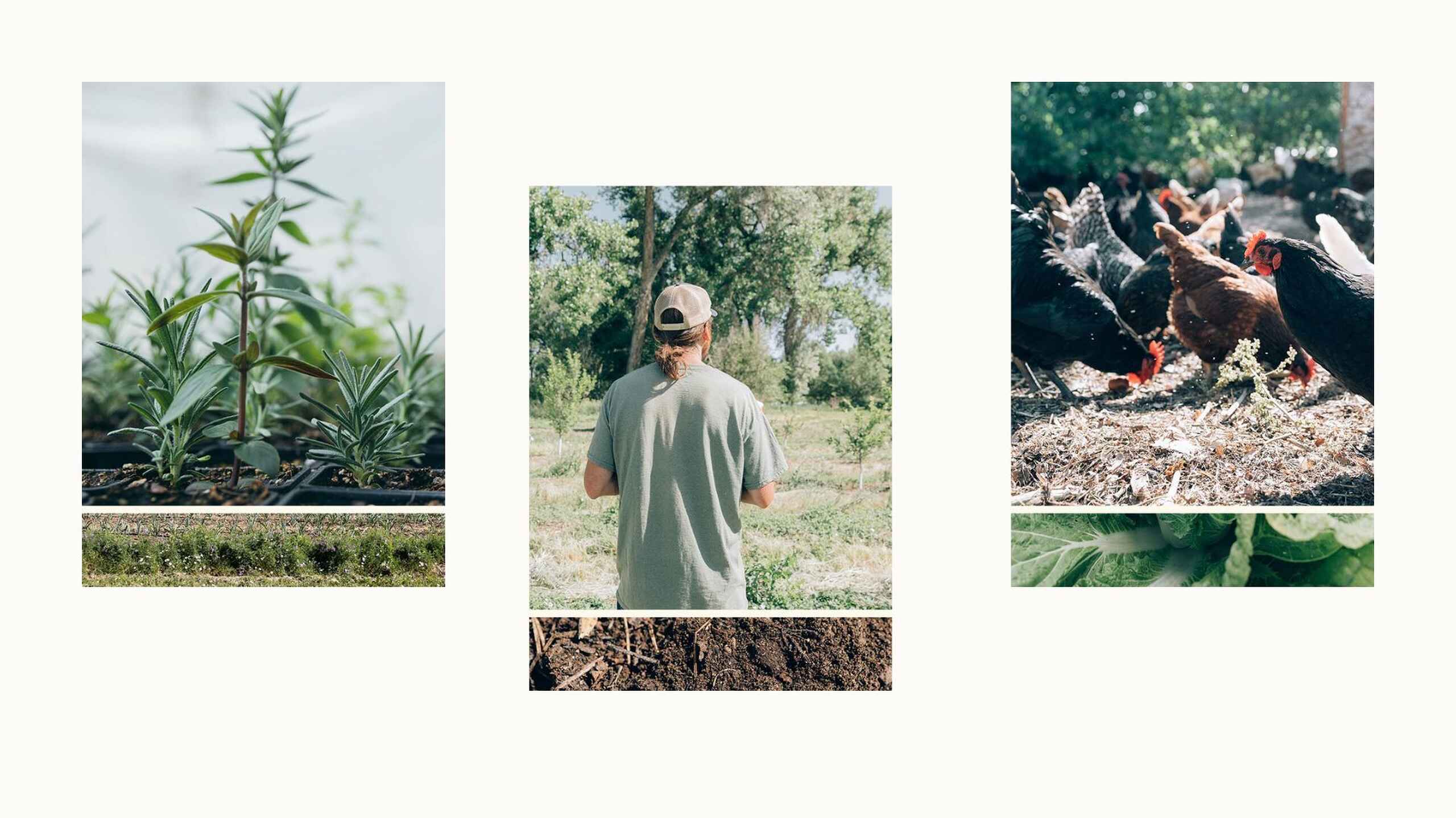 Farmer's Footprint founders Kena and Mark Guttridge demonstrating regenerative agriculture practices including cover crops, livestock integration, and soil health management on their farm