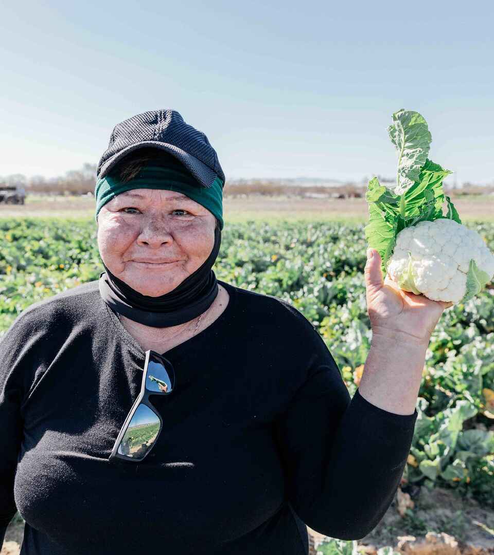 Maria Catal&aacute;n holds a freshly harvested head of lettuce in her vegetable field