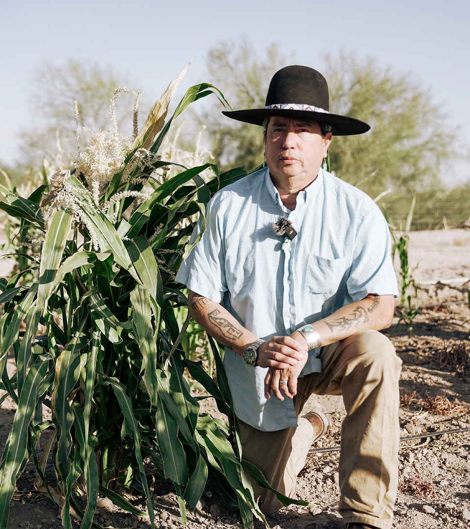 Dr. Michael Kotutwa Johnson crouches beside corn plants in an arid agricultural field