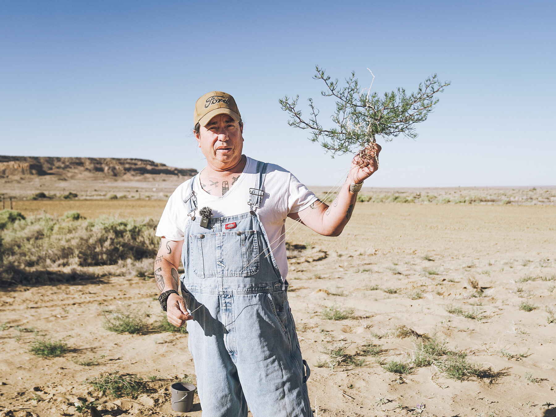 Farmer holding a tumbleweed plant with visible root system in an arid landscape