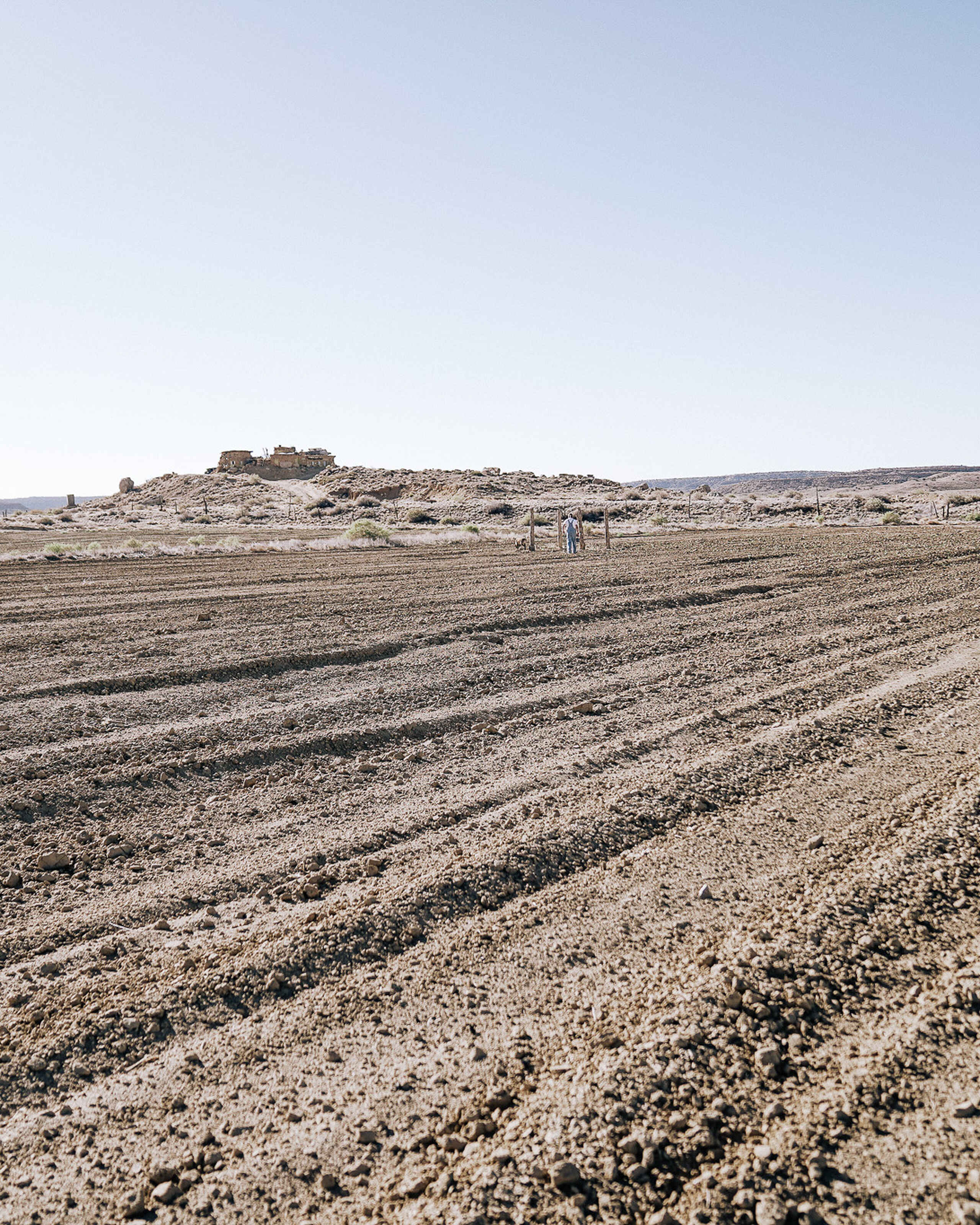 Rows of furrowed agricultural field in an arid landscape with sparse vegetation and rocky hills