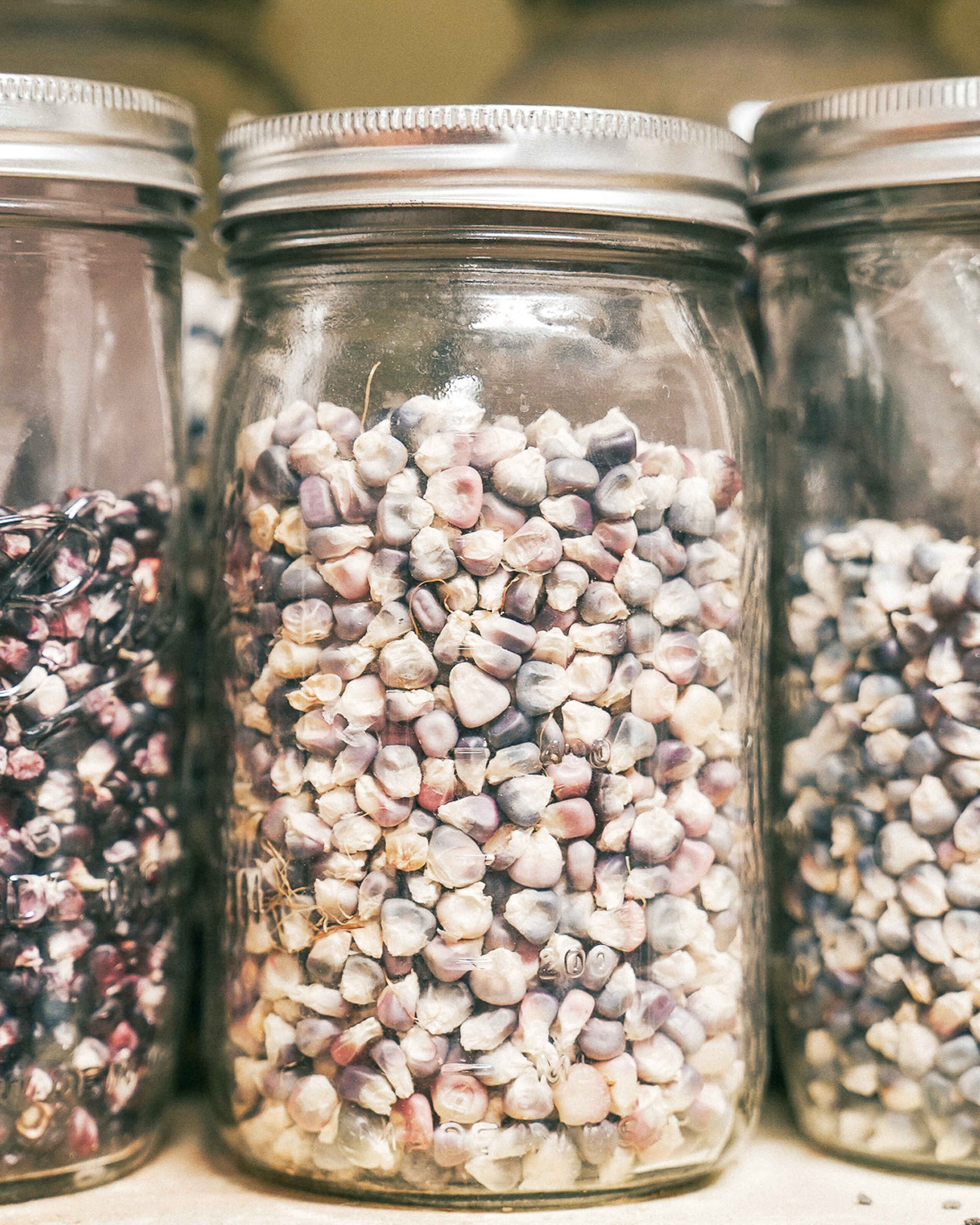 Three glass jars filled with different varieties of Hopi seeds in shades of red, tan, and white