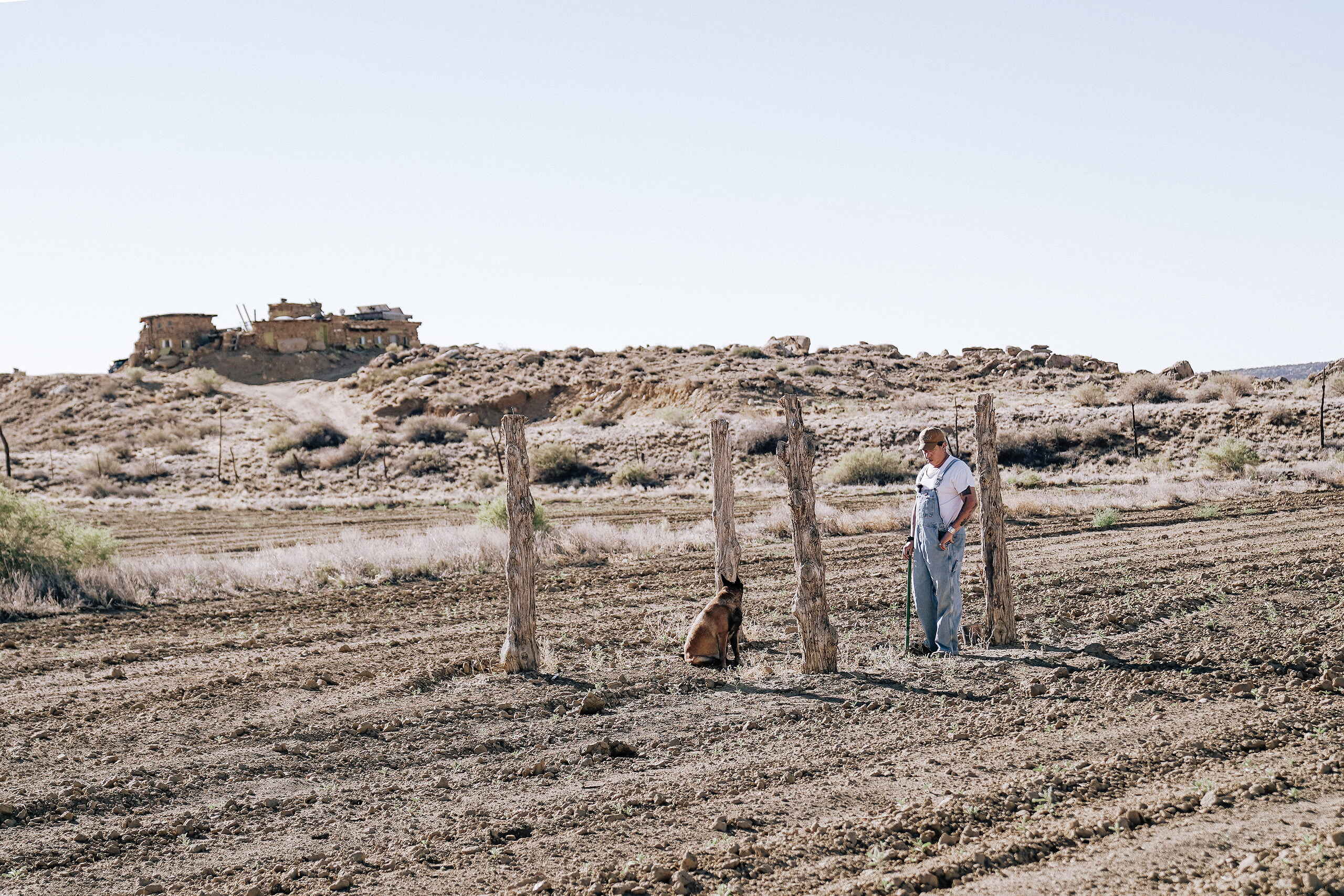 A man and his dog work together near wooden fence posts on arid farmland with a traditional pueblo structure visible on the mesa in the background