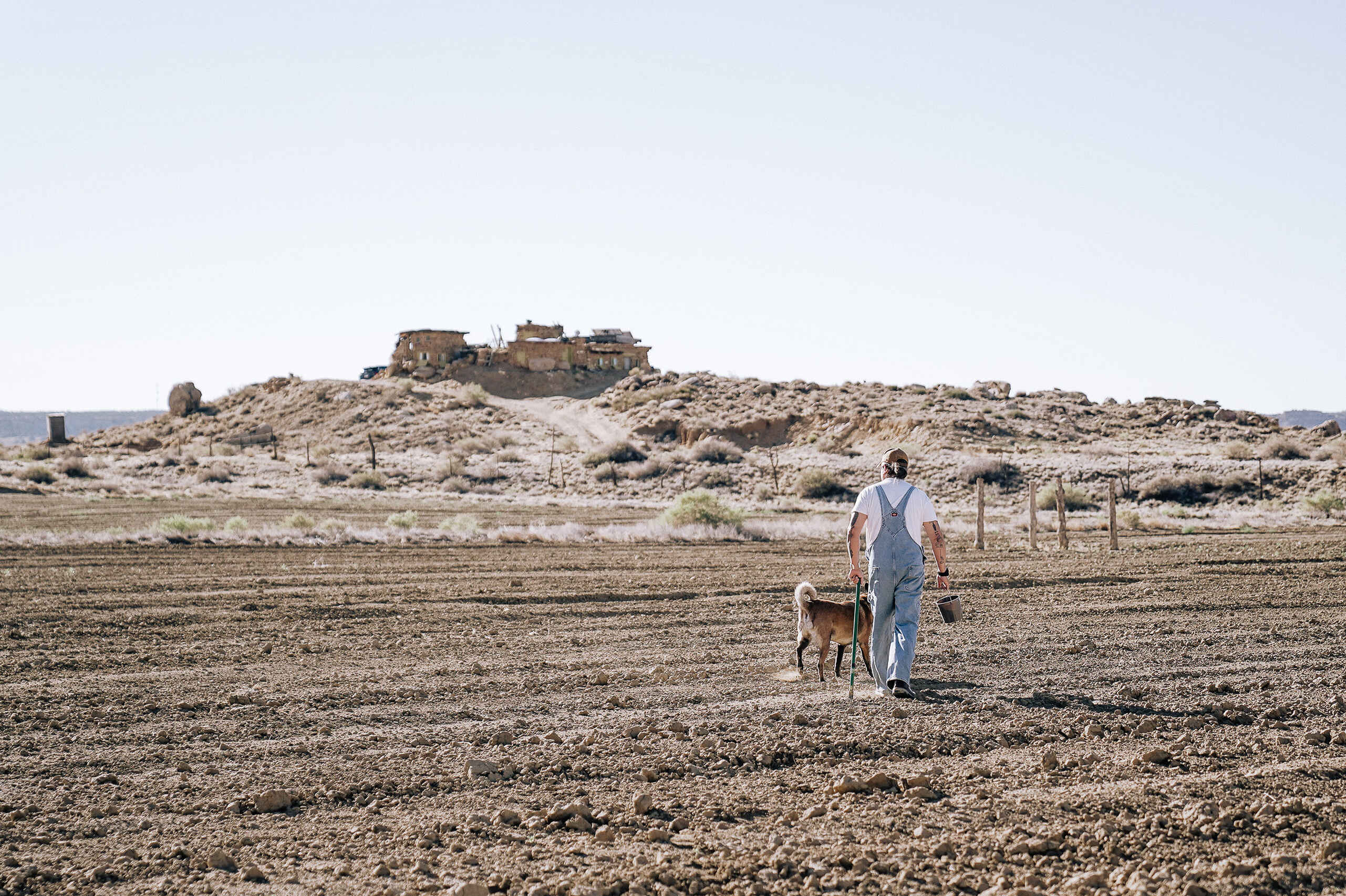 Man and dog walking across arid farmland toward a traditional Hopi dwelling on a mesa