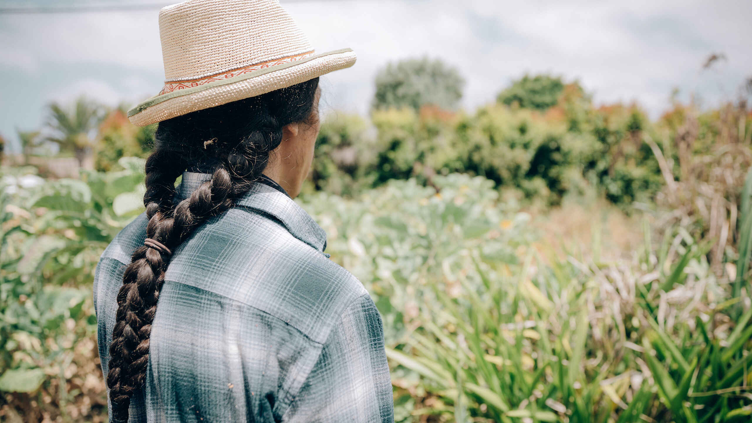 Farmer Nathan Lou looking out at his farm.