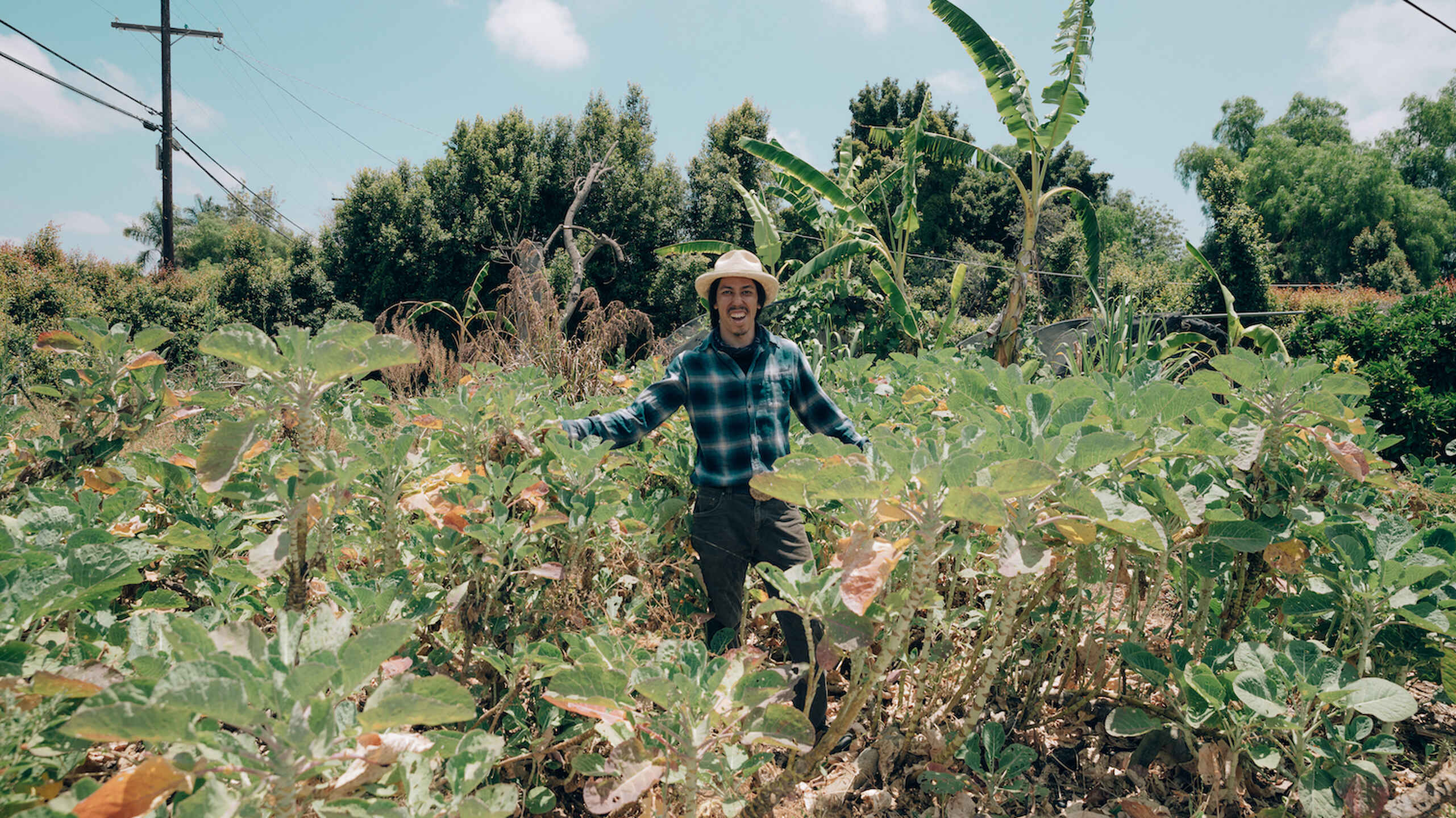 Nathan standing in the tall grass of his farm