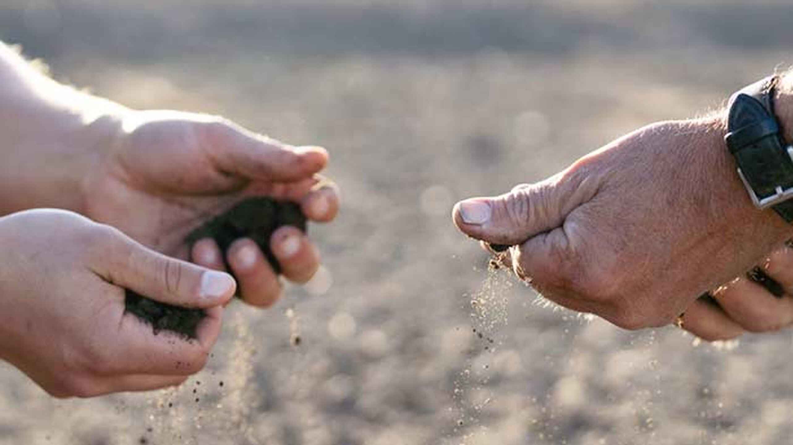 Two hands holding soil above farmland, showing earth between their palms
