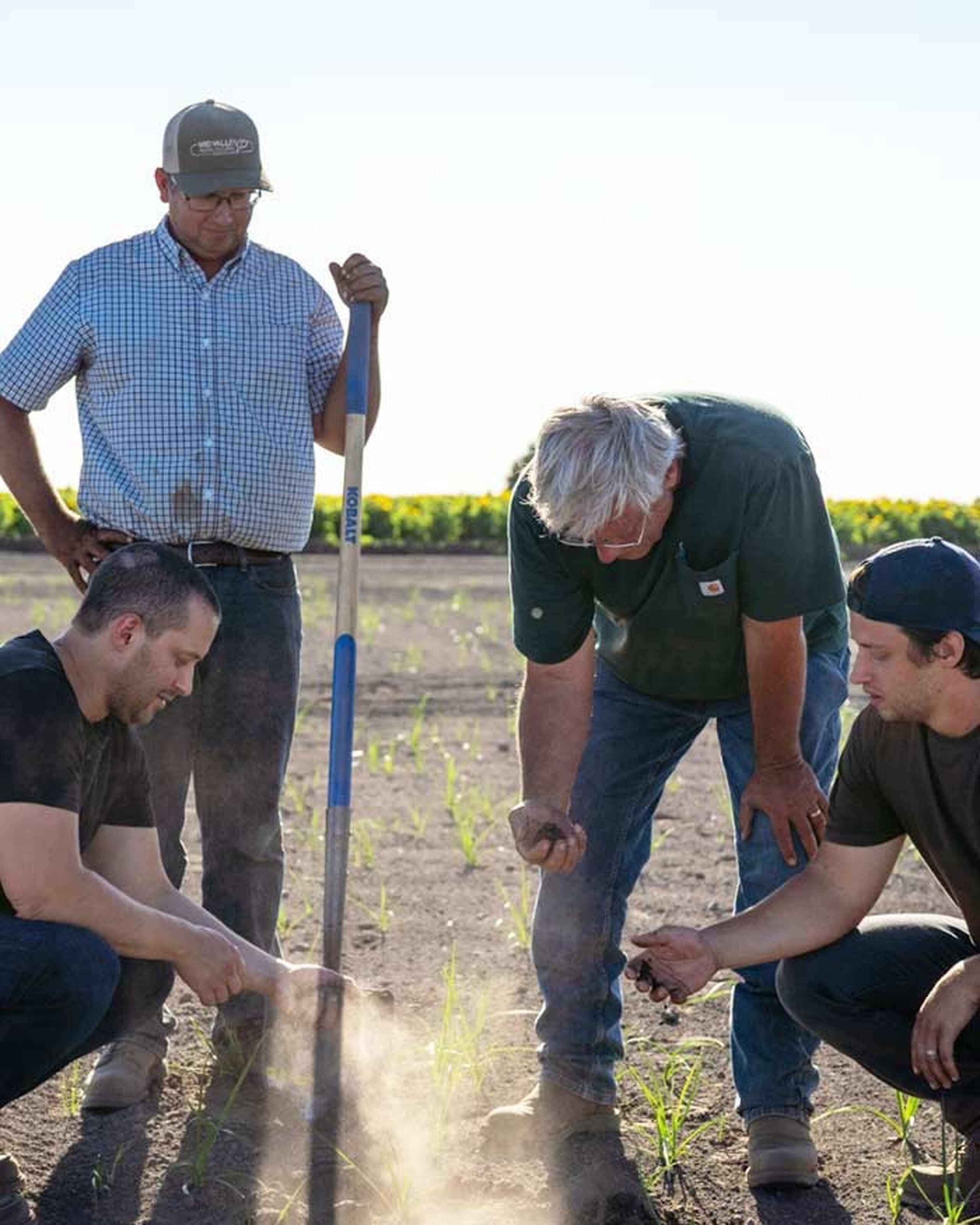 The Nuss family examine soil moisture and crop health in an irrigated field