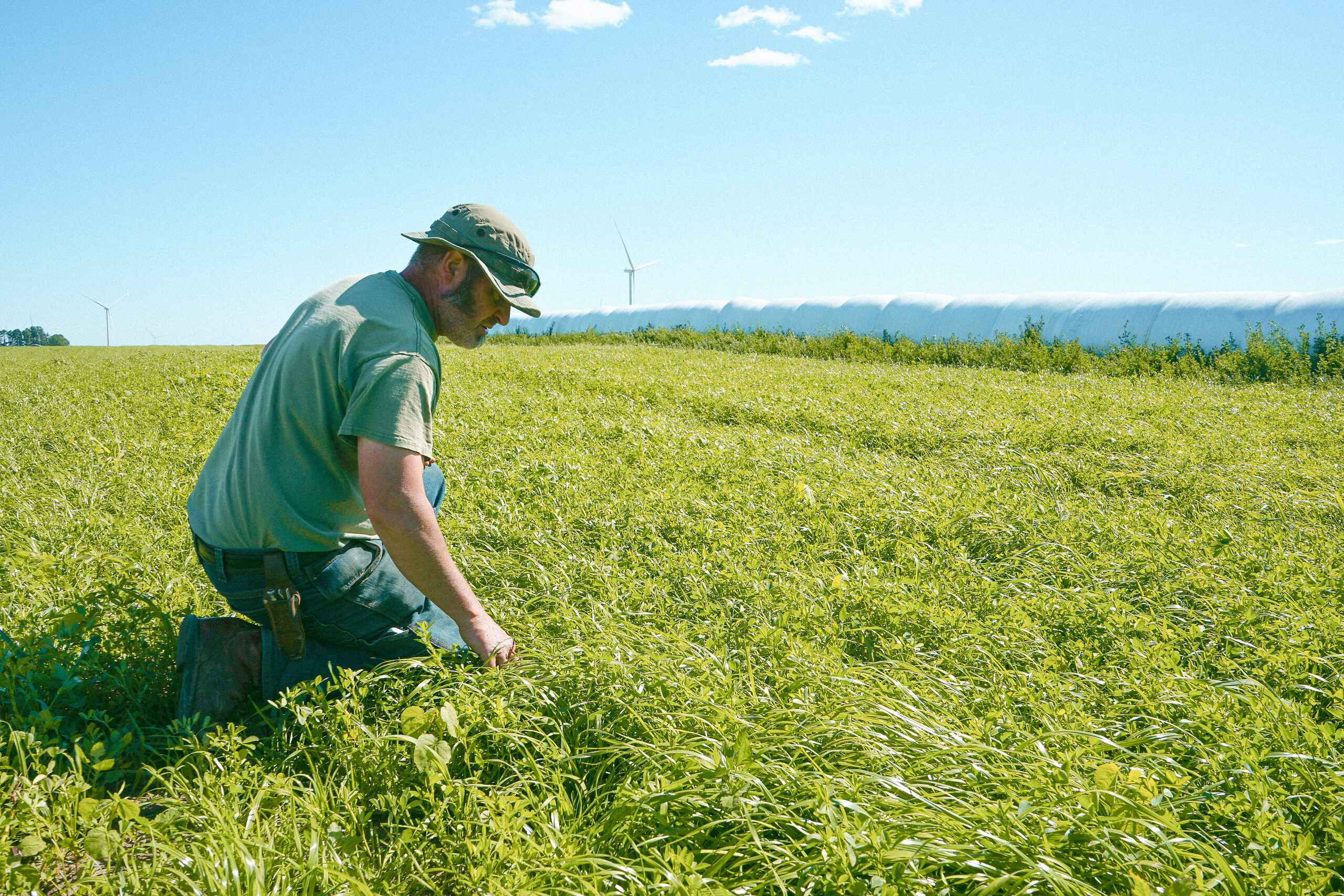 Farmer in a green field examines soil health while wind turbines dot the distant horizon