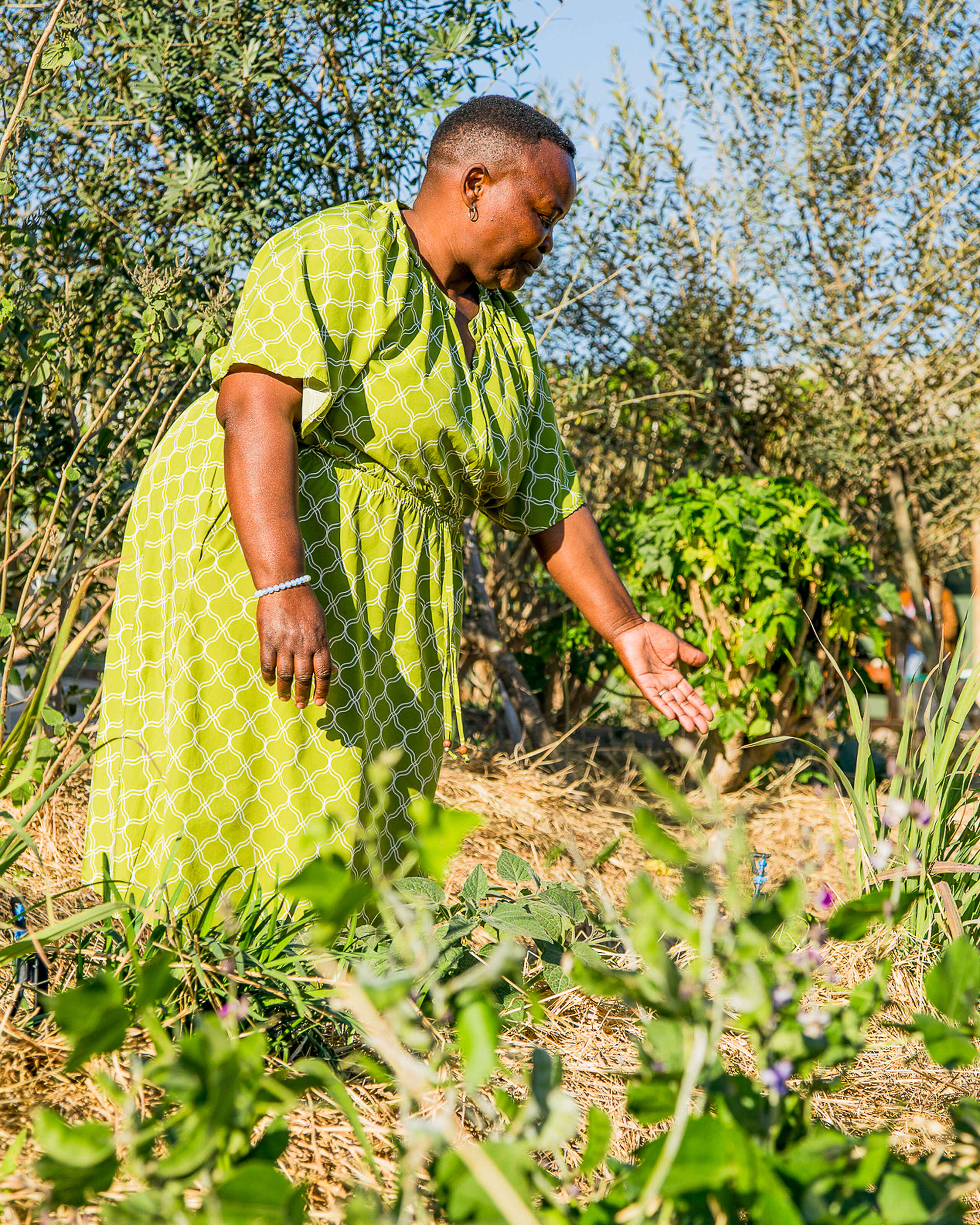 Woman in a bright yellow patterned dress tends to young plants in her garden