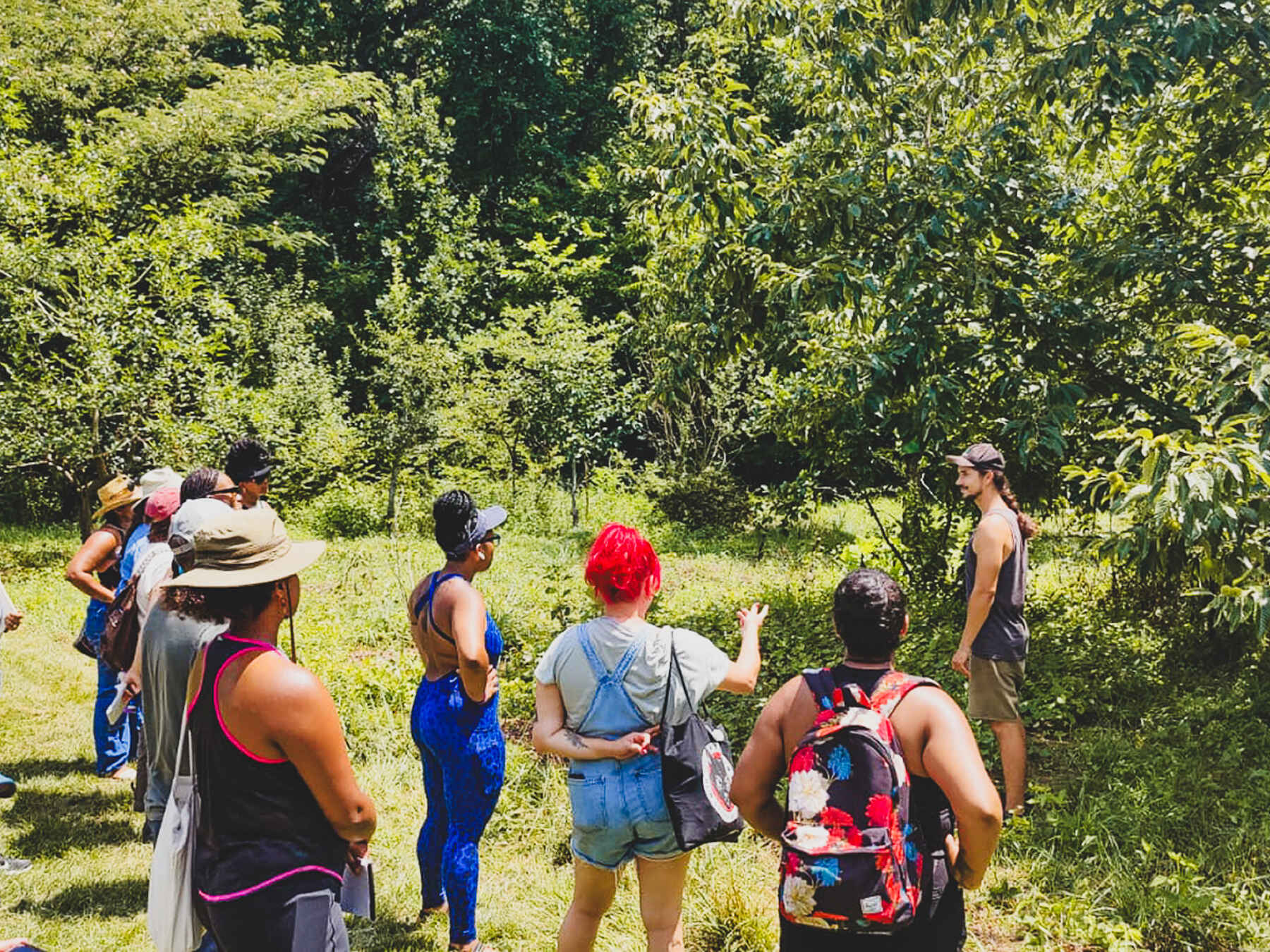 Group of people gathered outdoors for a guided forest foraging walk