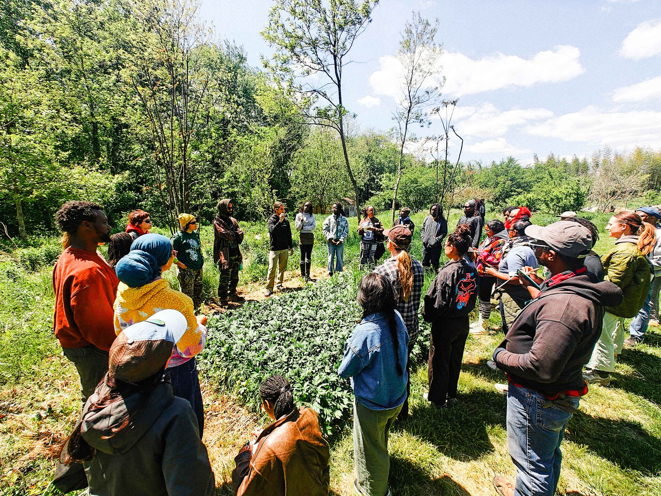 A diverse group of people gathered in a grassy field during a foraging class led by instructor Bodhi Vasilopoulos