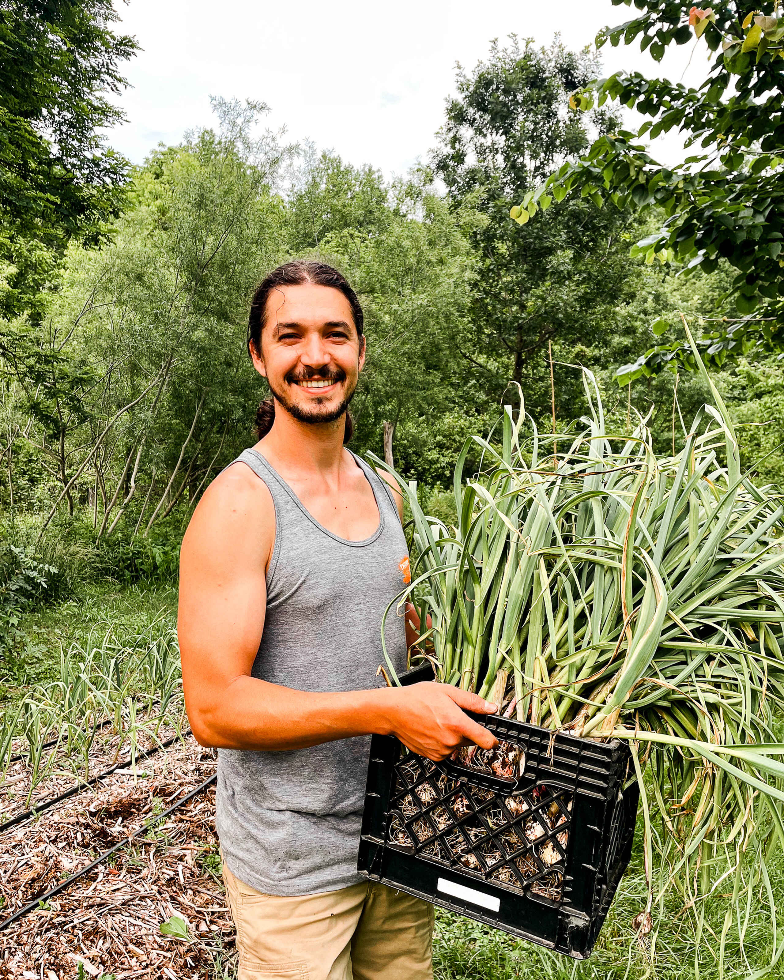 Bodhi Vasilopoulos holds a crate of harvested garlic in a garden surrounded by trees