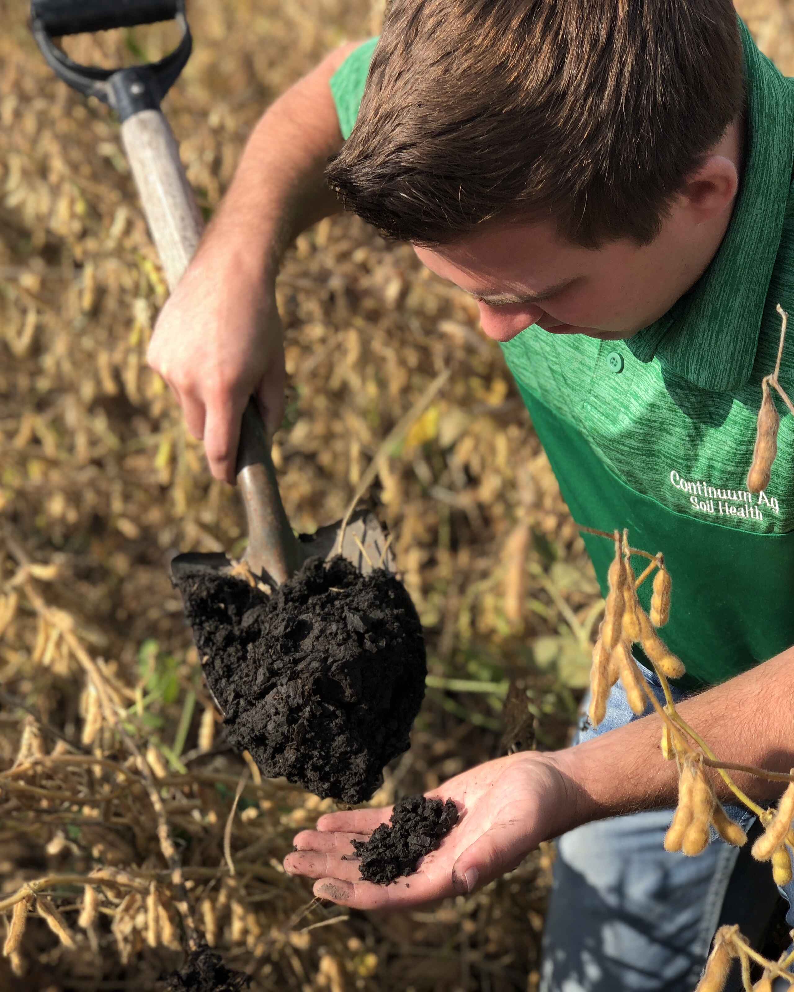 Young farmer in green shirt examining dark soil in his hand while standing in a soybean field