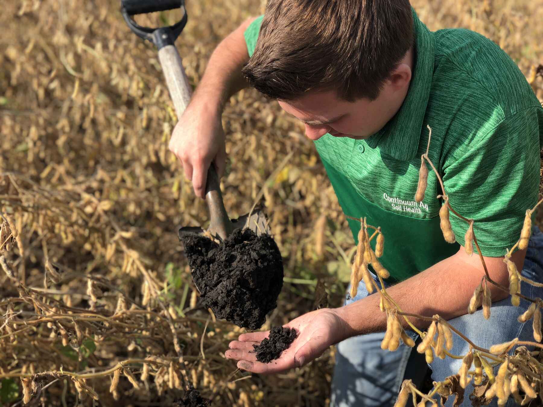 A young farmer in a green Continuum Ag shirt examines a shovel full of dark, healthy soil in a soybean field