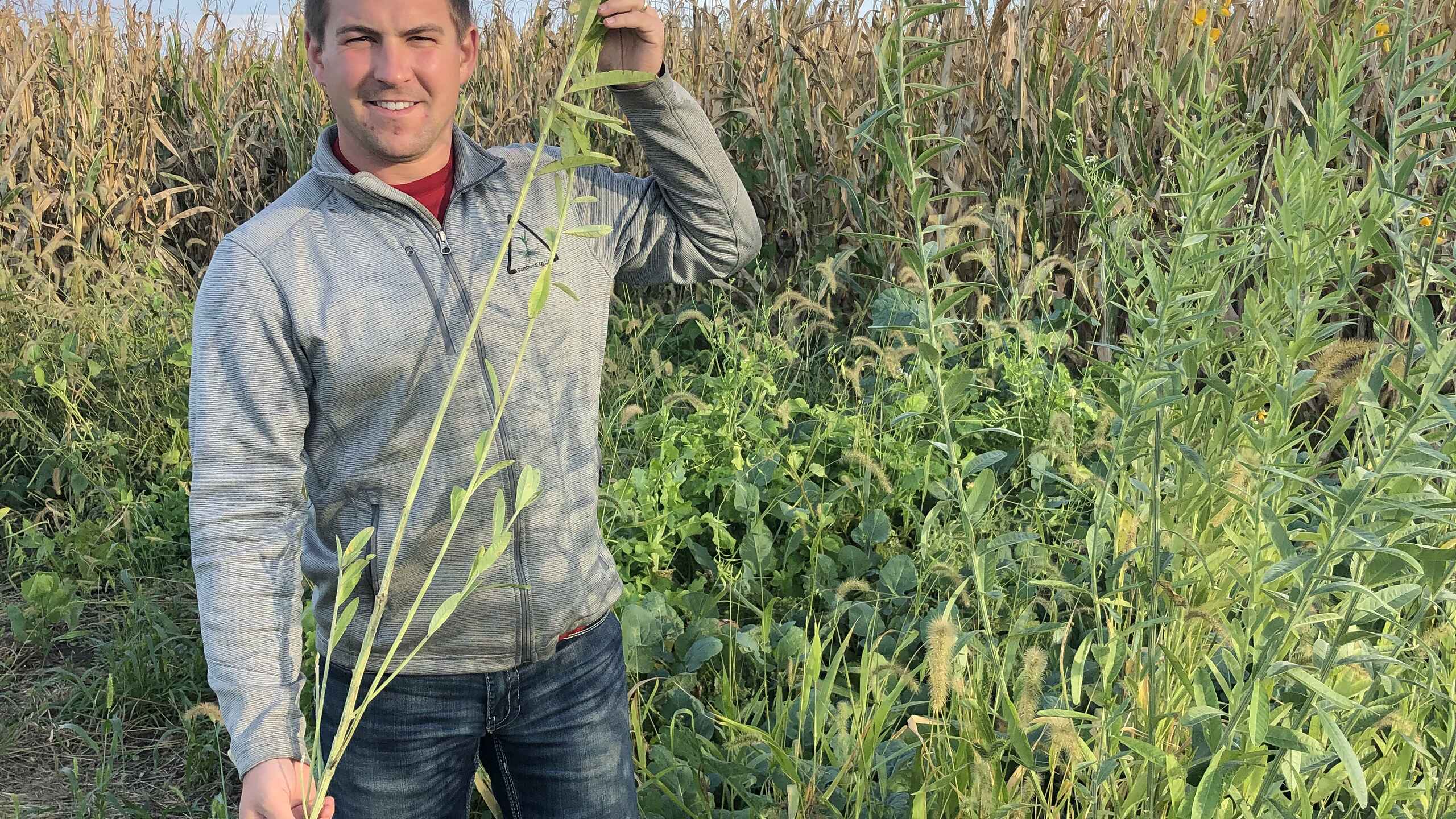 Mitchell Hora holds a tall grain plant in a corn and soybean field