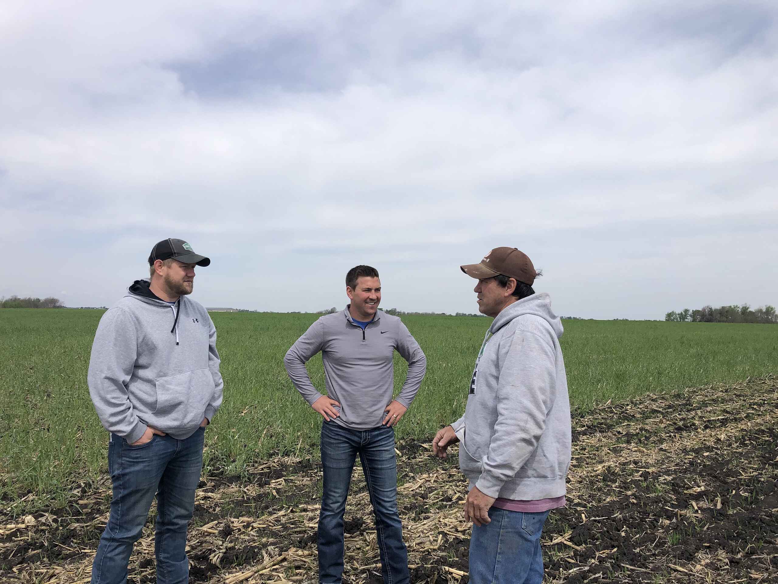 Three farmers stand together in a green crop field discussing agricultural practices