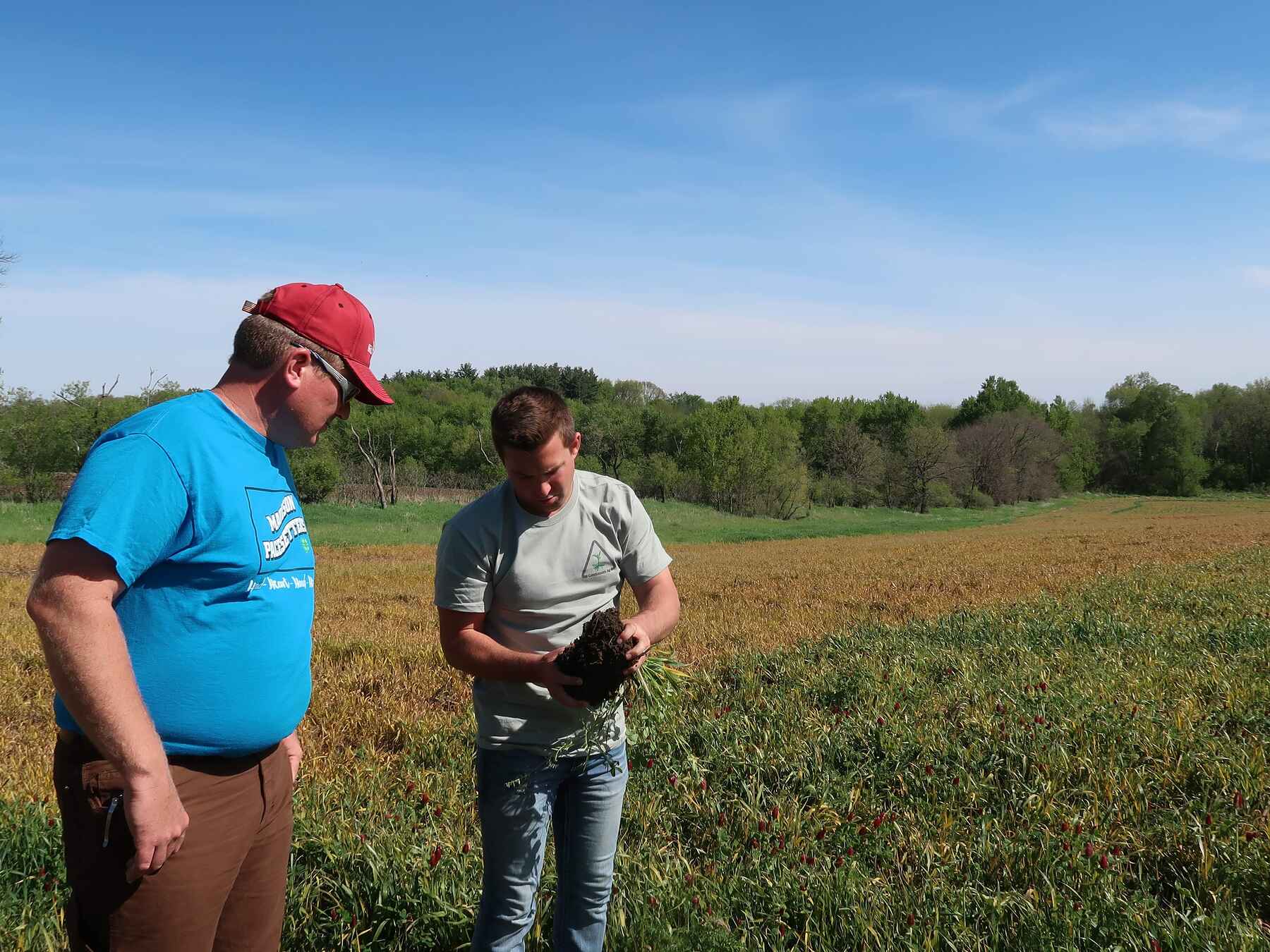 Three men examine crop growth in a spring field during a farm visit