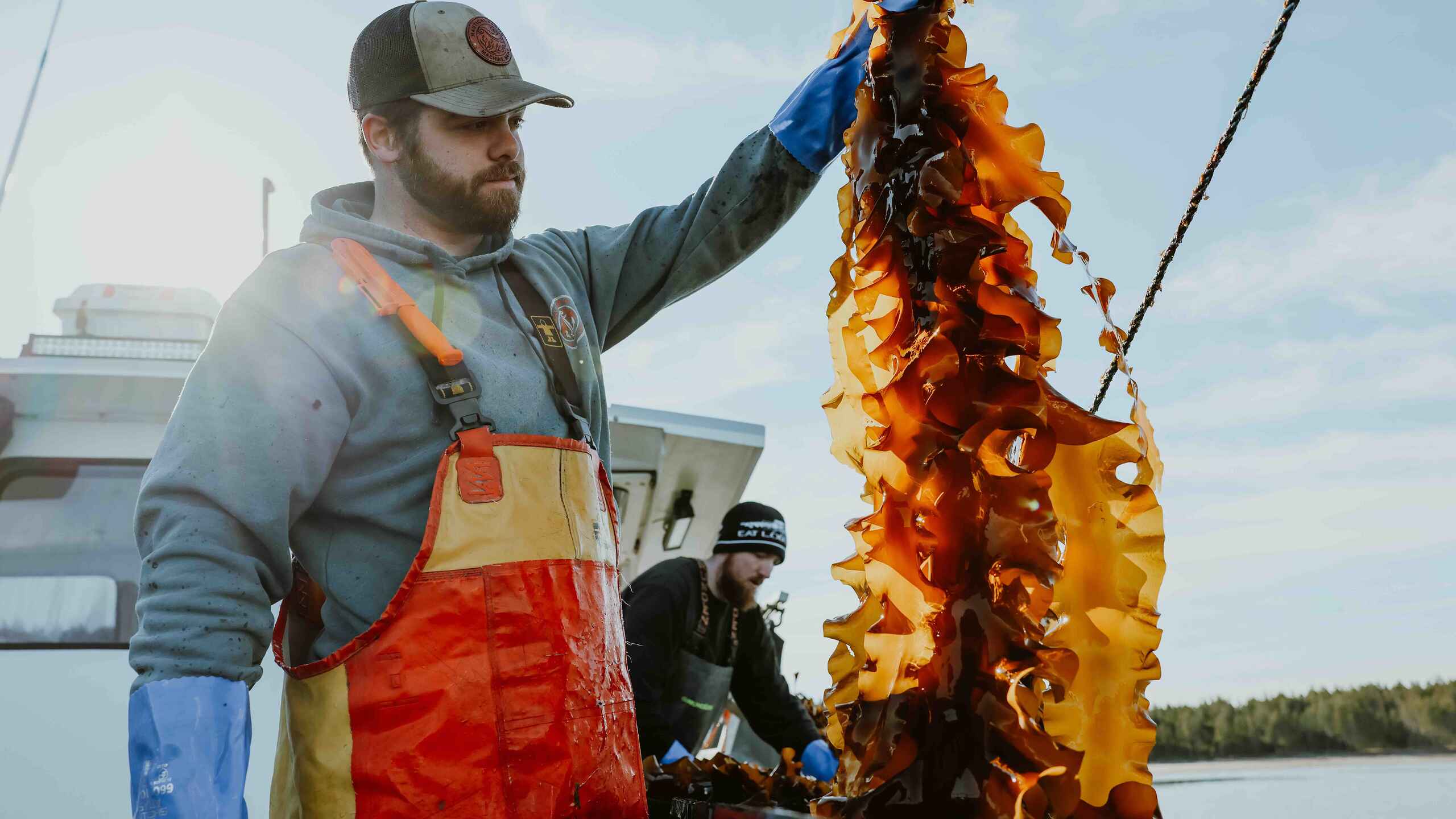 fisherman holds a string of sea urchins harvested from the ocean