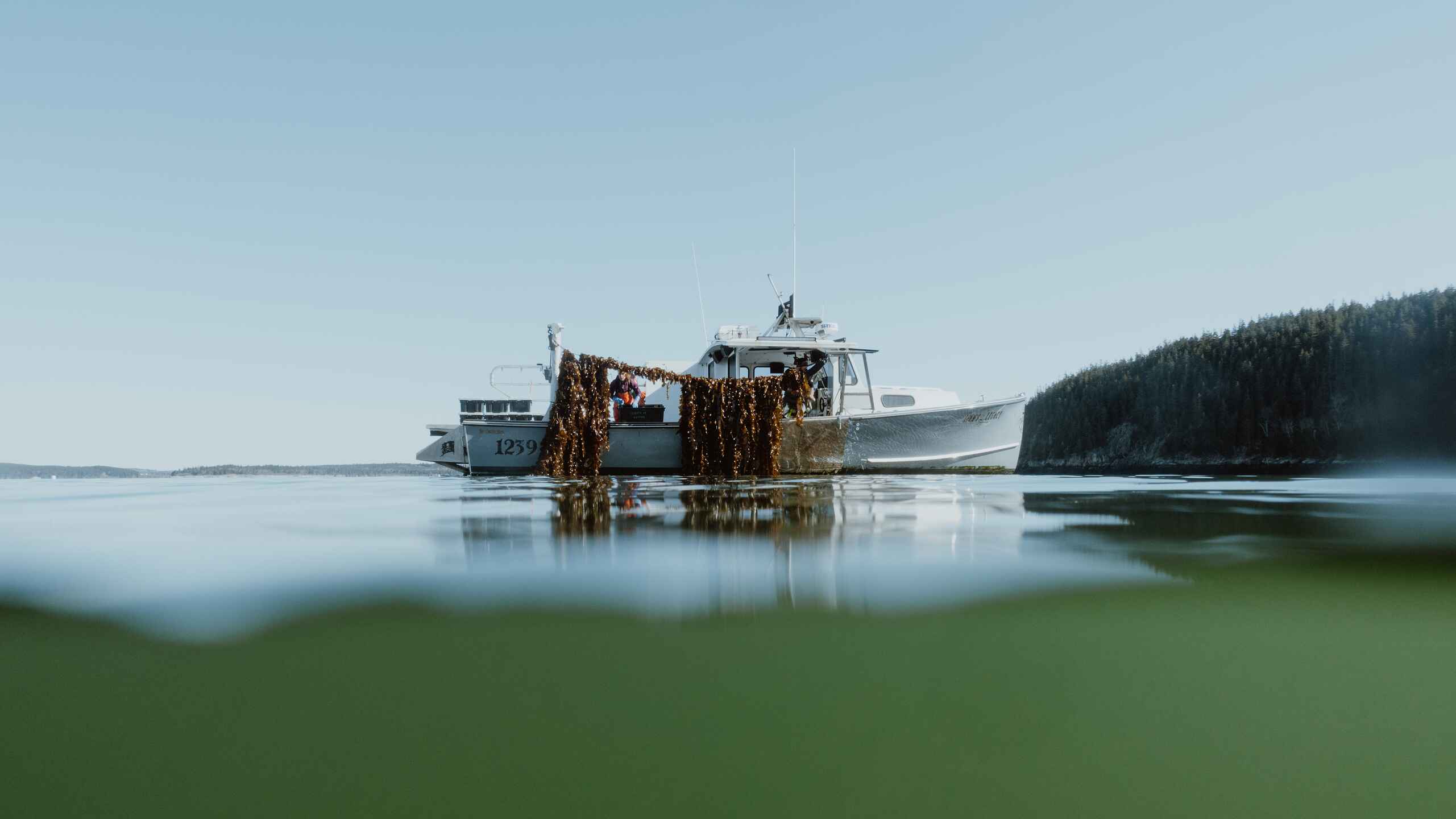 Lobster fishing boat loaded with kelp and seaweed harvesting equipment in calm coastal waters