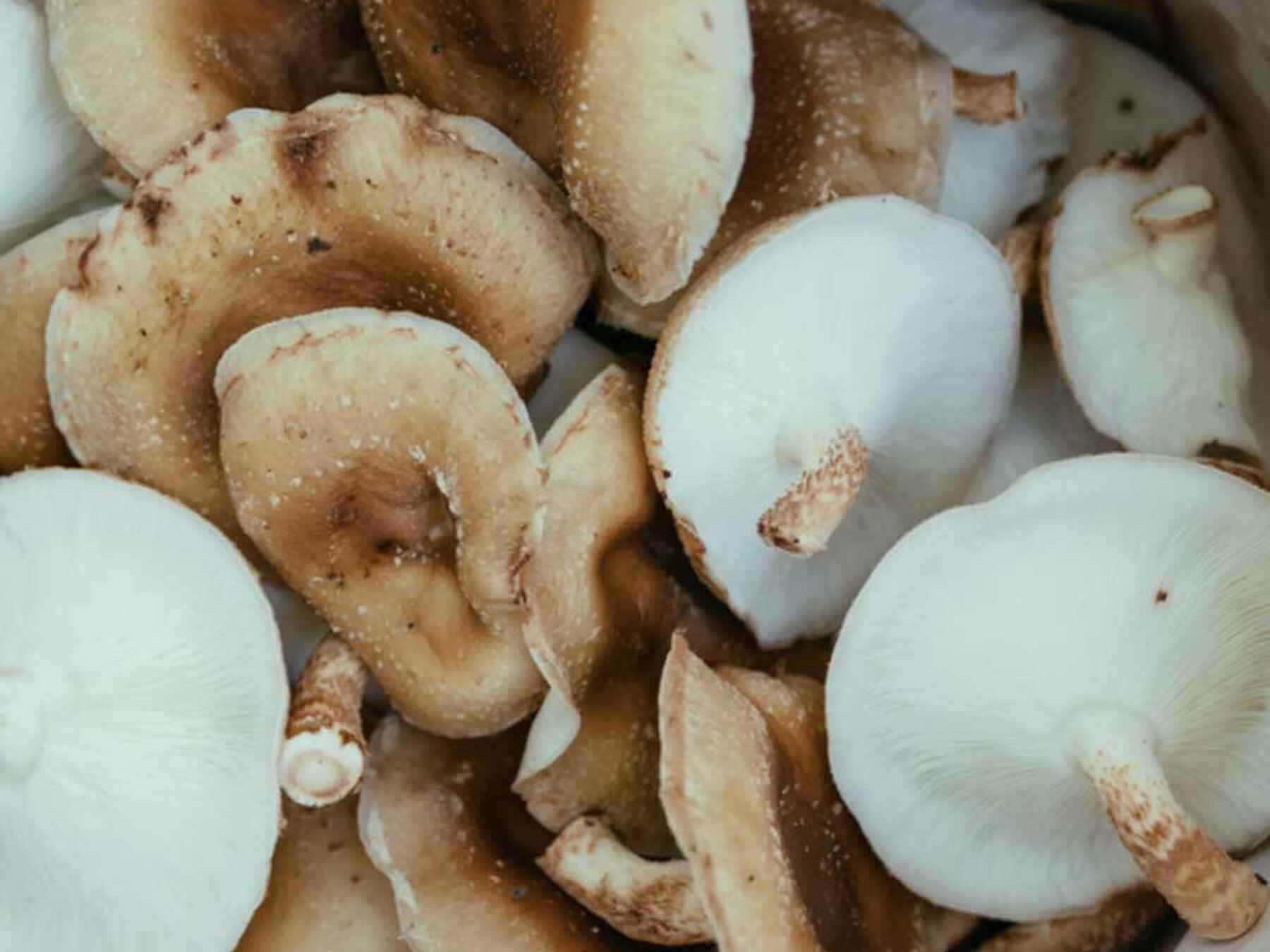 Sliced mushrooms and garlic cloves ready for cooking