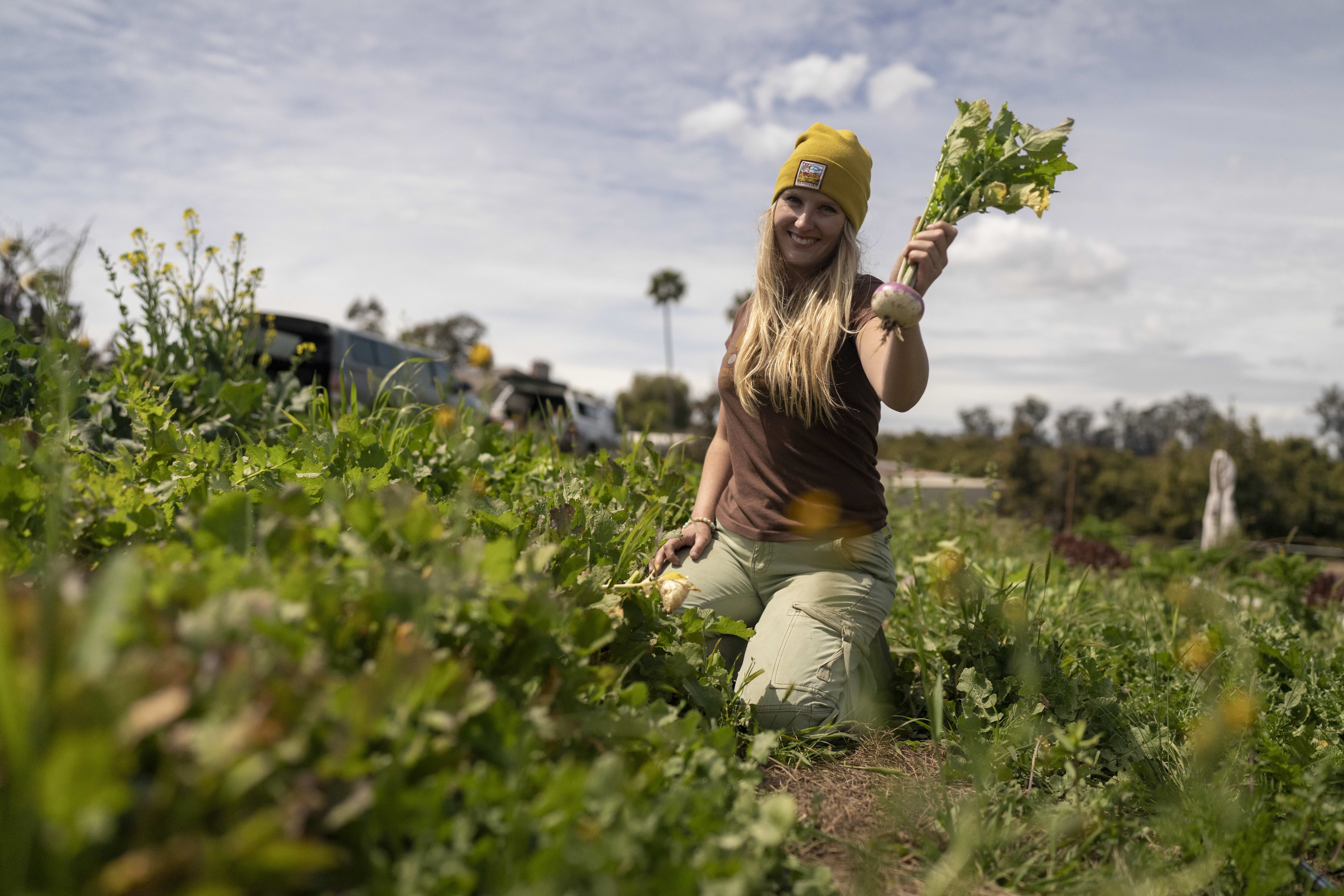 Woman holding freshly harvested leafy greens in a vegetable field