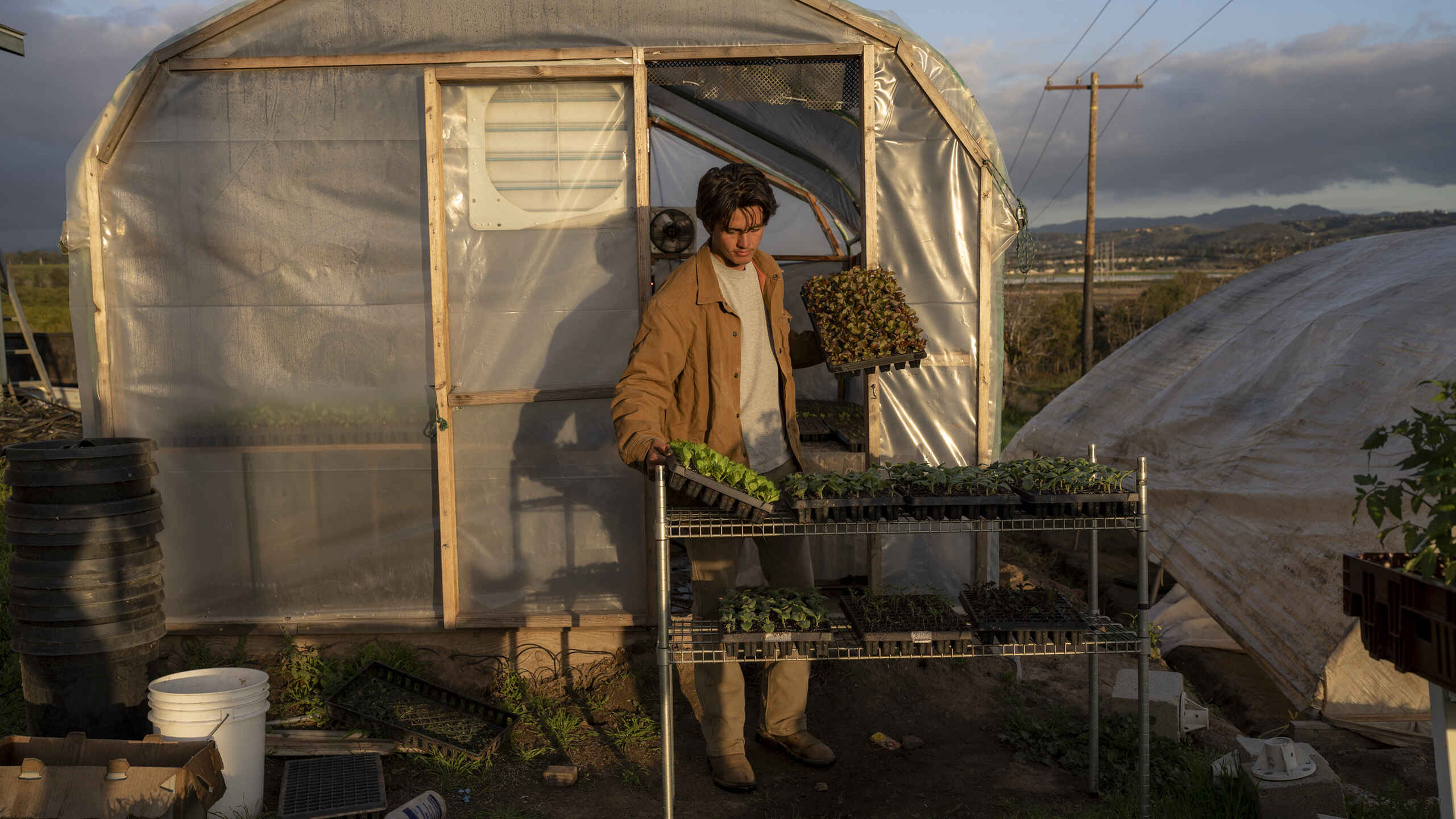 Farmer holding seedlings inside a greenhouse with rows of plants and vast farmland visible in the background