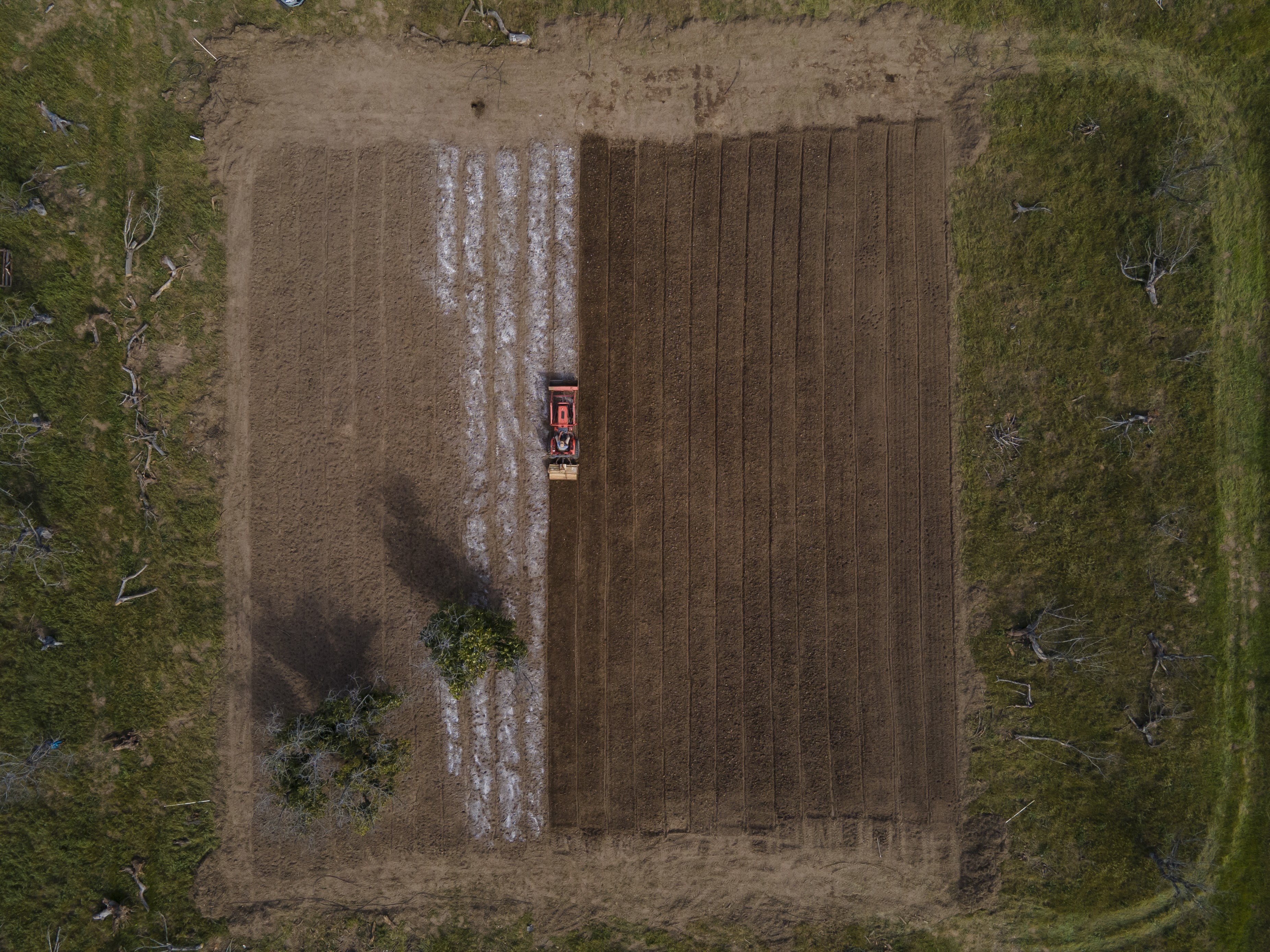 Aerial view of a tractor plowing rows in a farm field bordered by forest