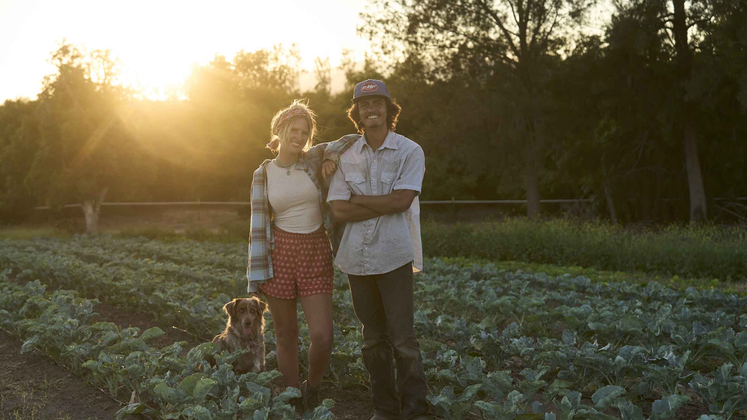 Two farmers with a dog stand in a vegetable field at sunset