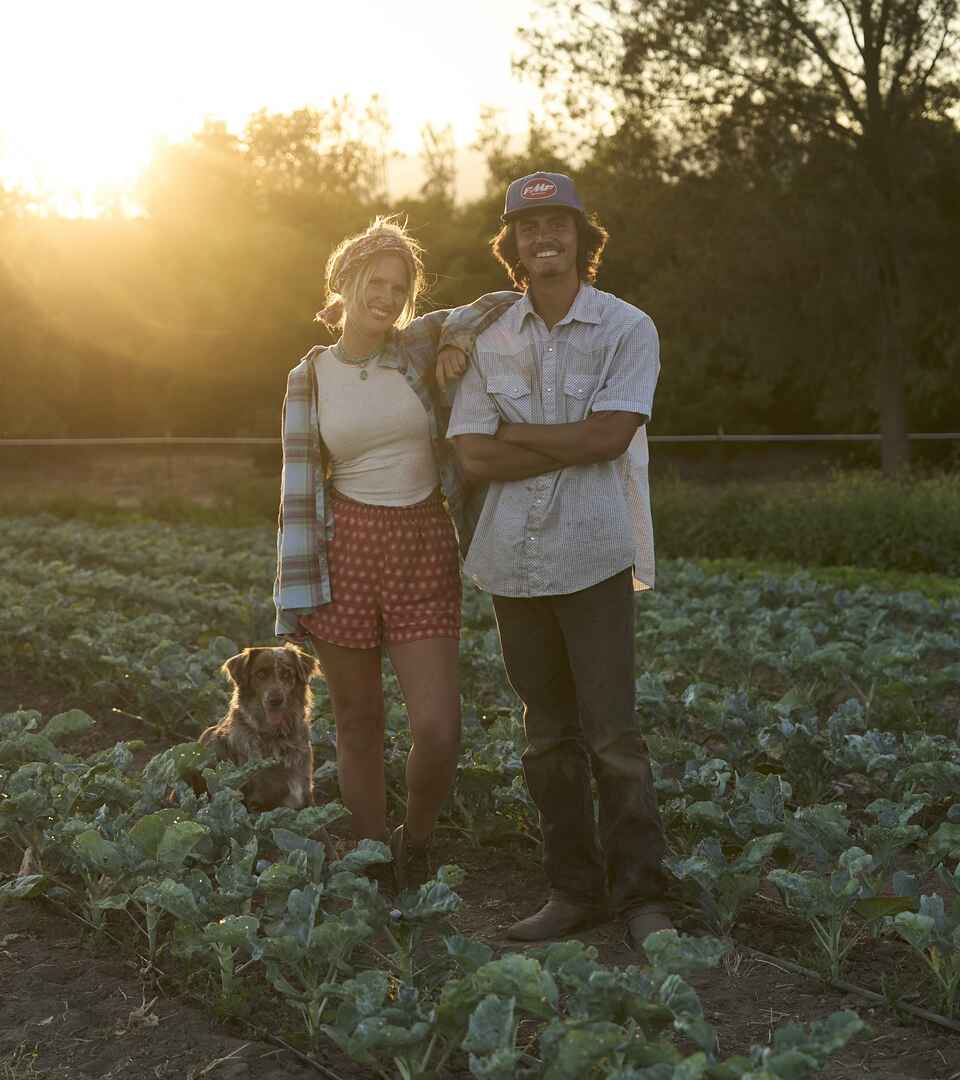 Two farmers with a dog stand in a vegetable field at sunset