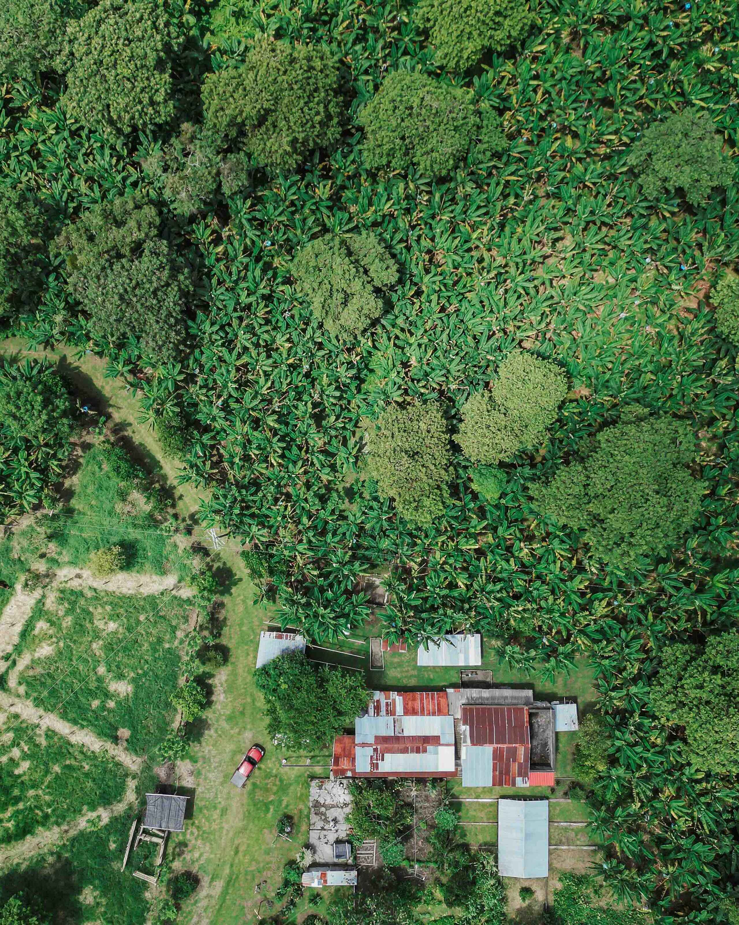 Aerial view of a farm compound surrounded by dense tropical vegetation and crop fields in Colombia