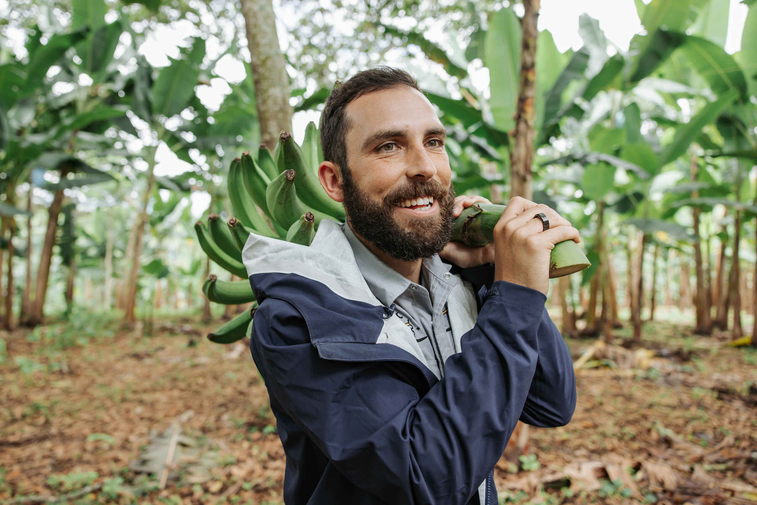 Farmer holding a bunch of bananas in a banana plantation