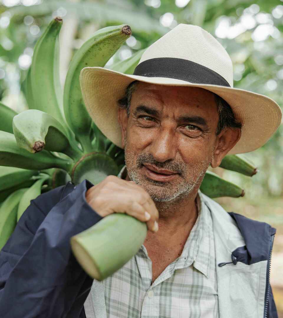 Colombian farmer holding a bunch of bananas on a farm